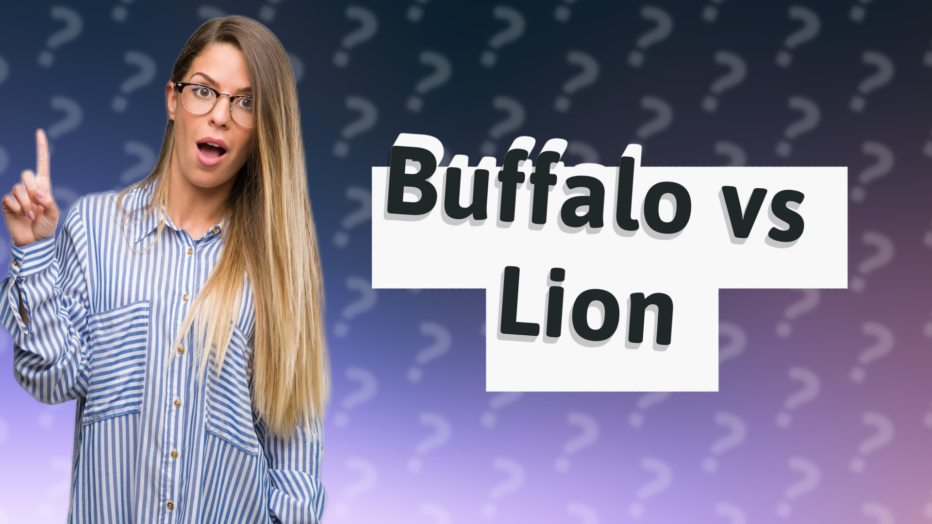 Buffalo vs Lion