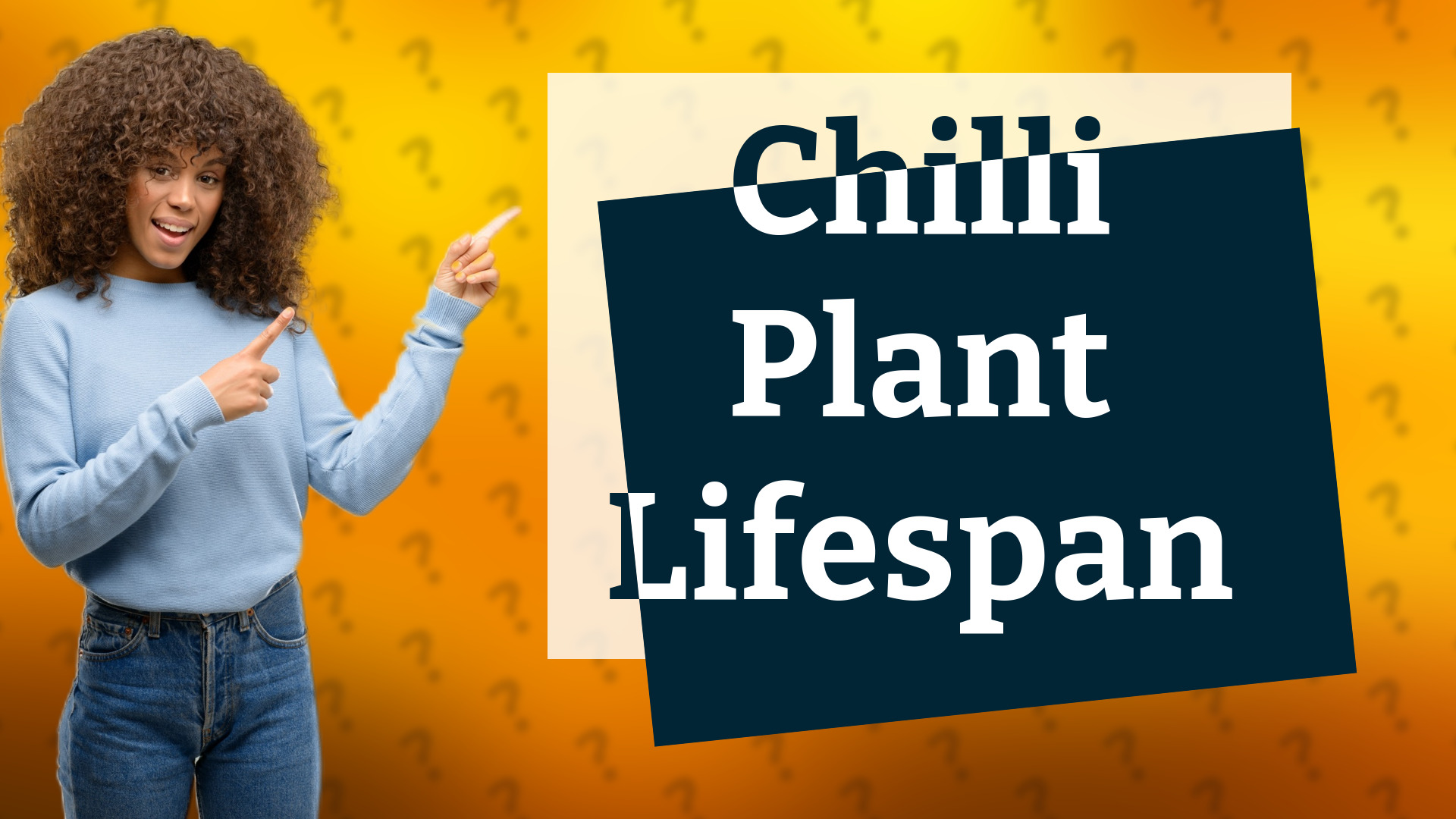 Chilli Plant Lifespan