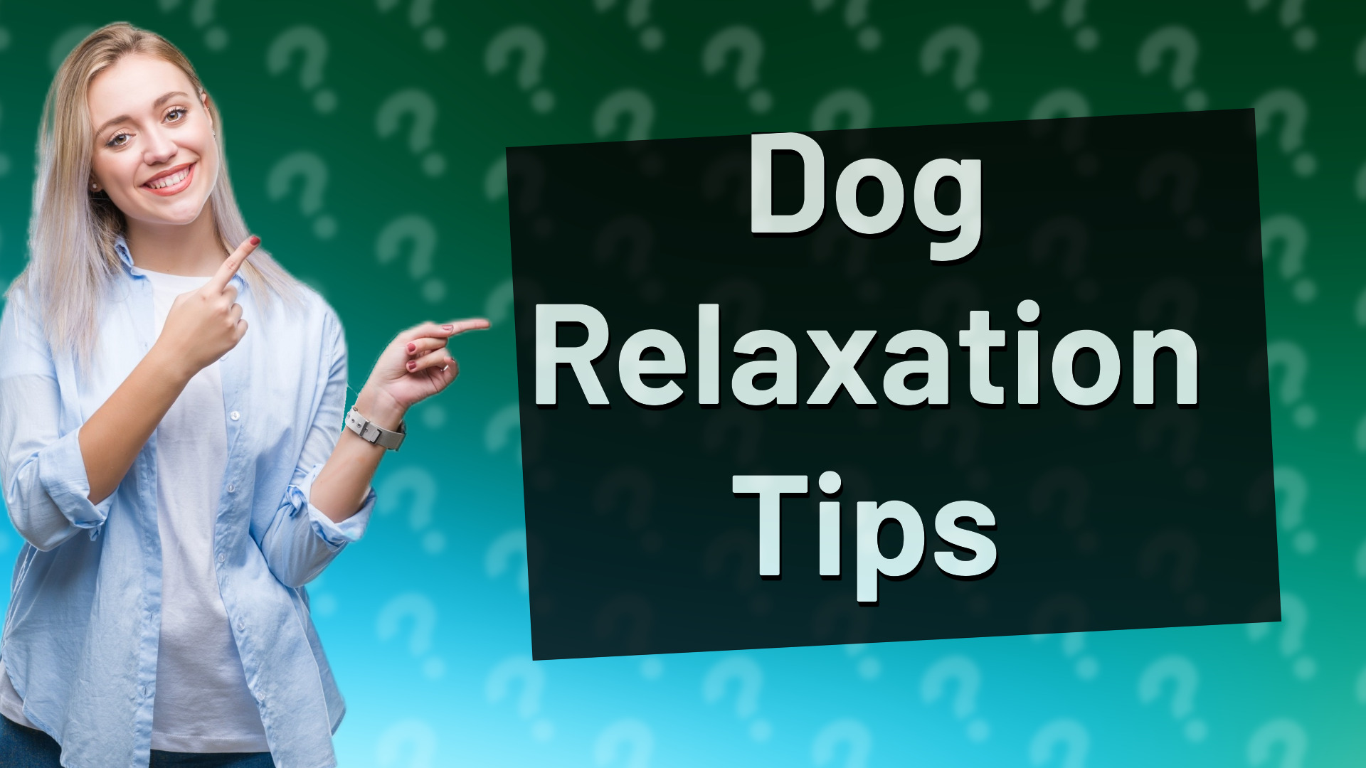 Dog Relaxation Tips