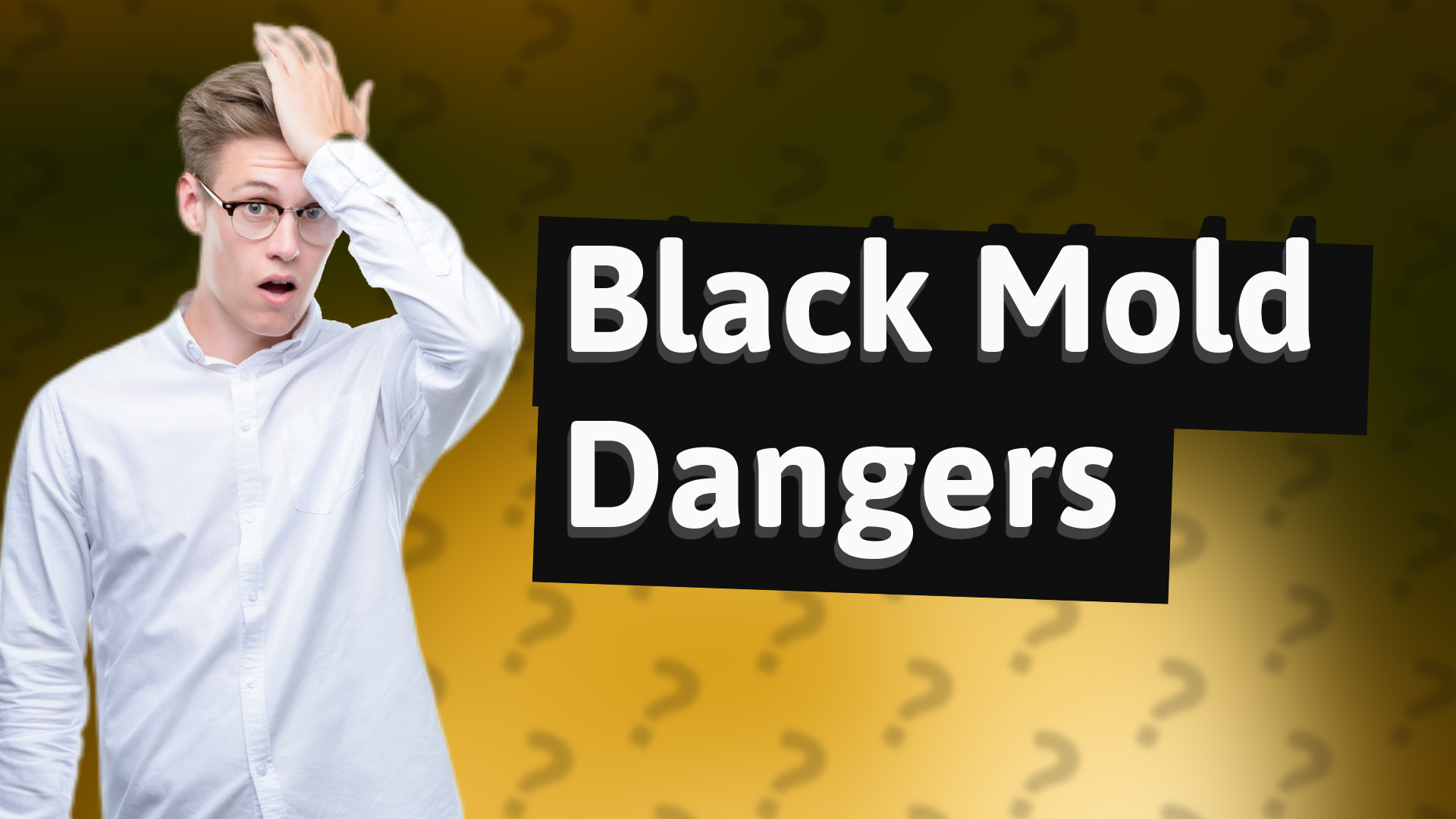 Black Mold Dangers