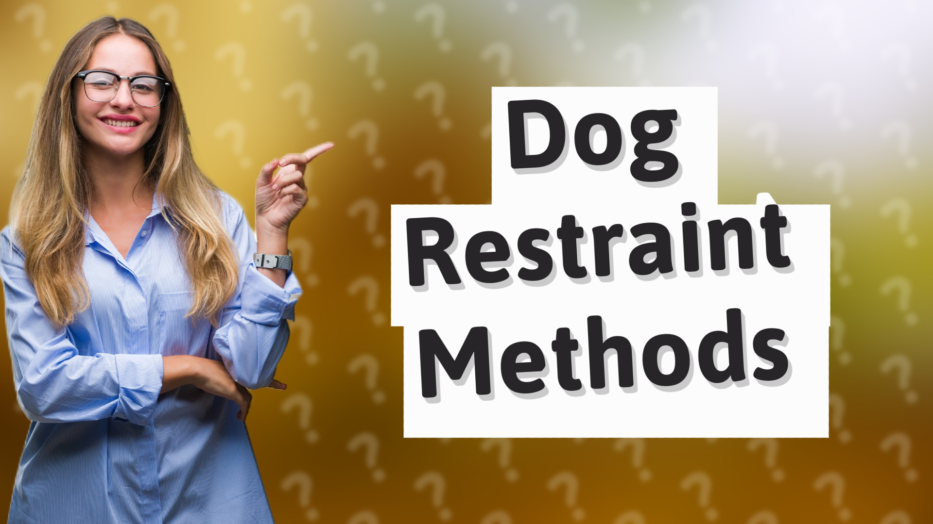 Dog Restraint Methods