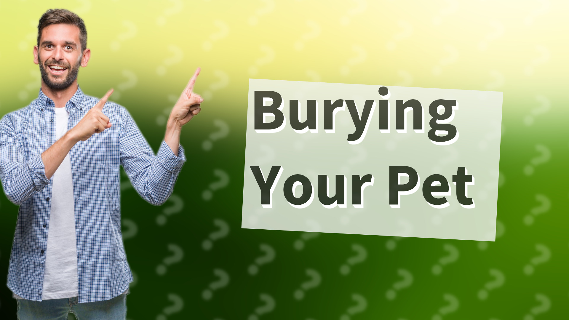 Burying Your Pet