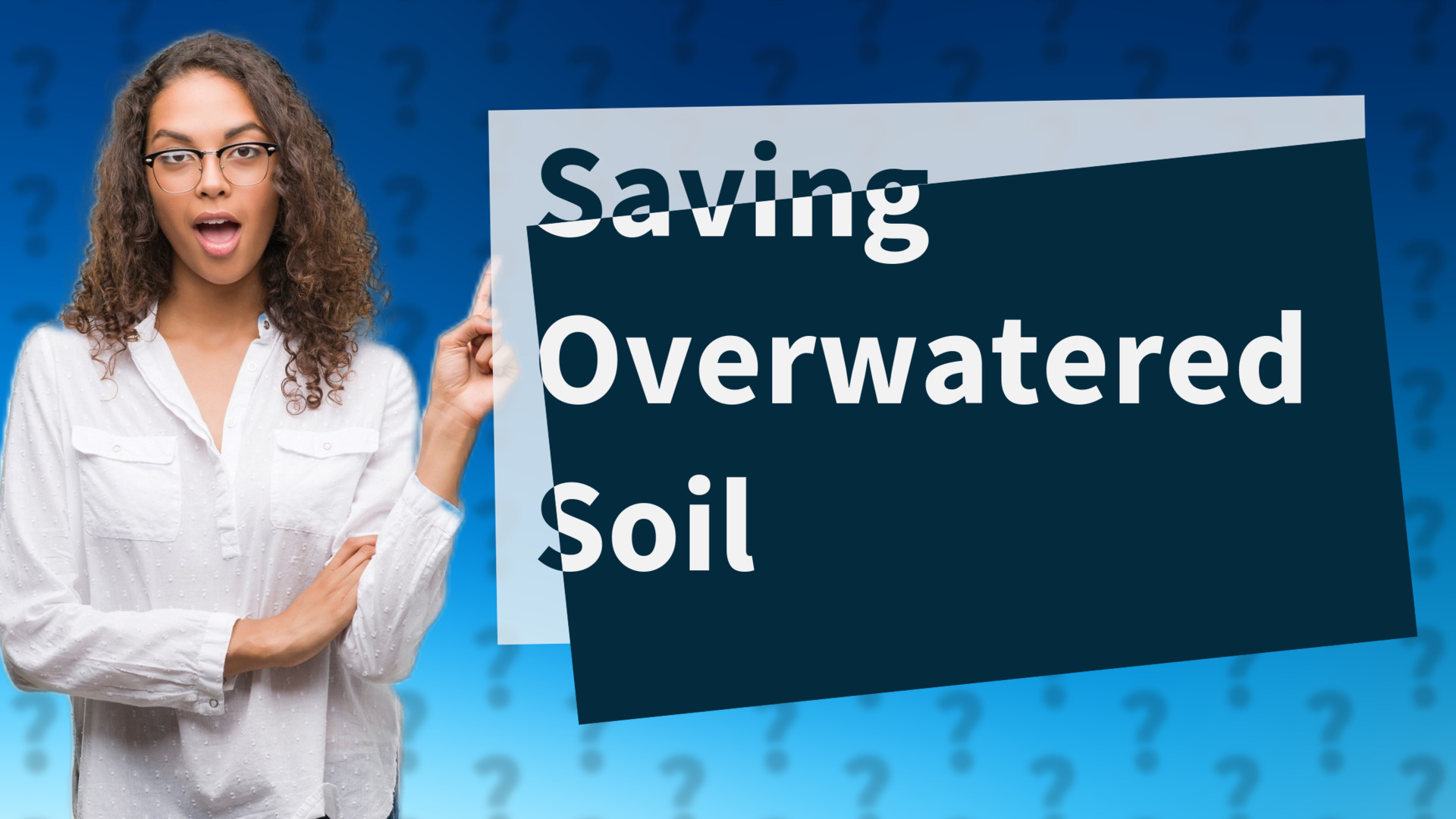 Saving Overwatered Soil