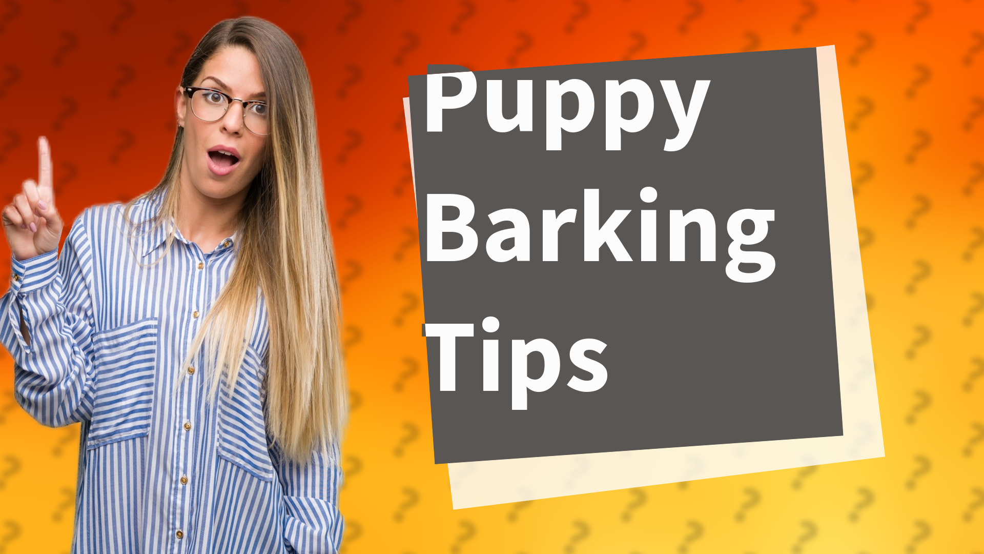 Puppy Barking Tips