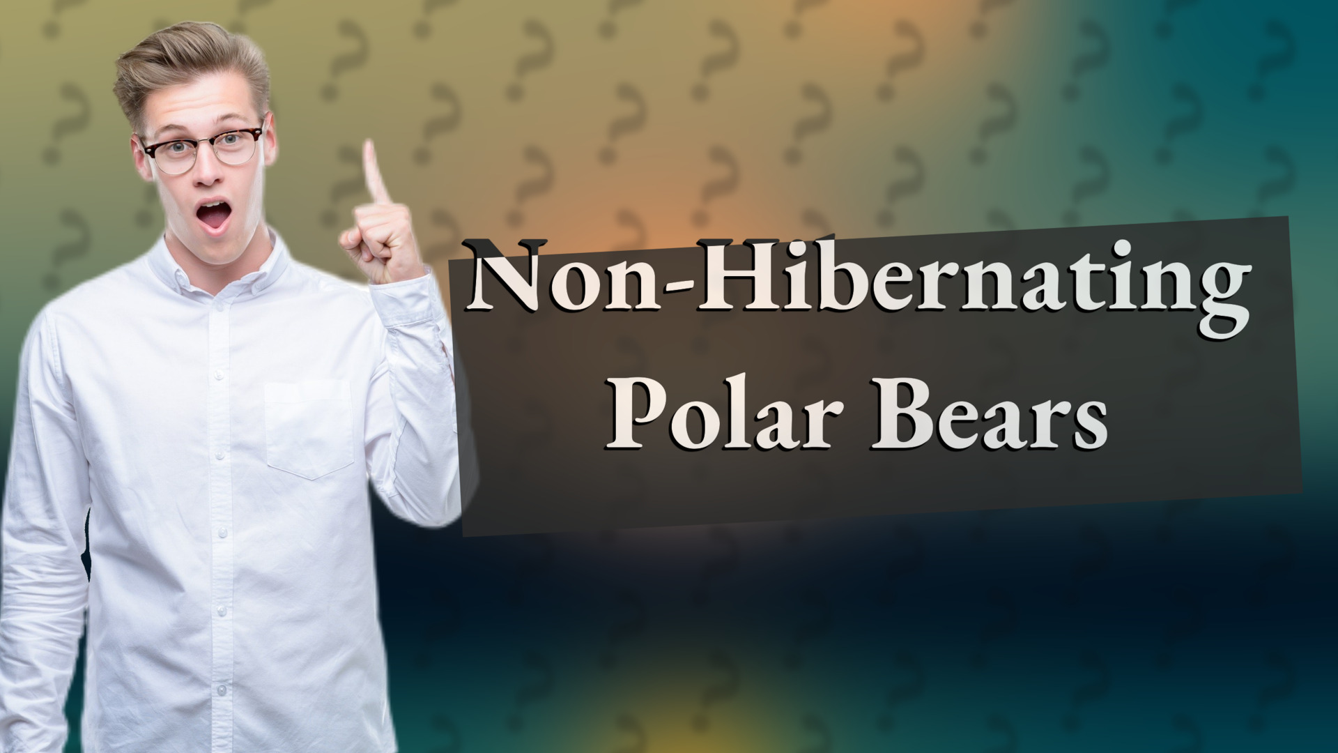 Non-Hibernating Polar Bears