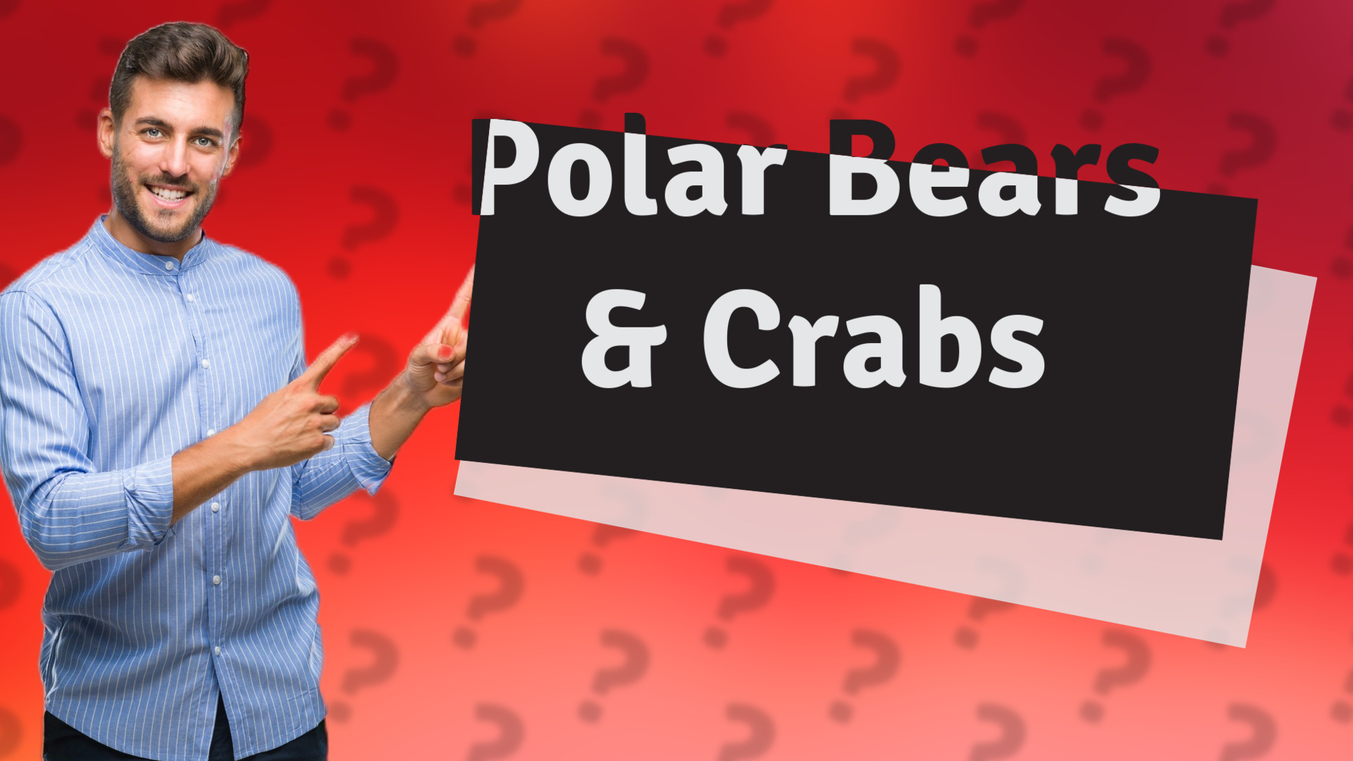Polar Bears & Crabs