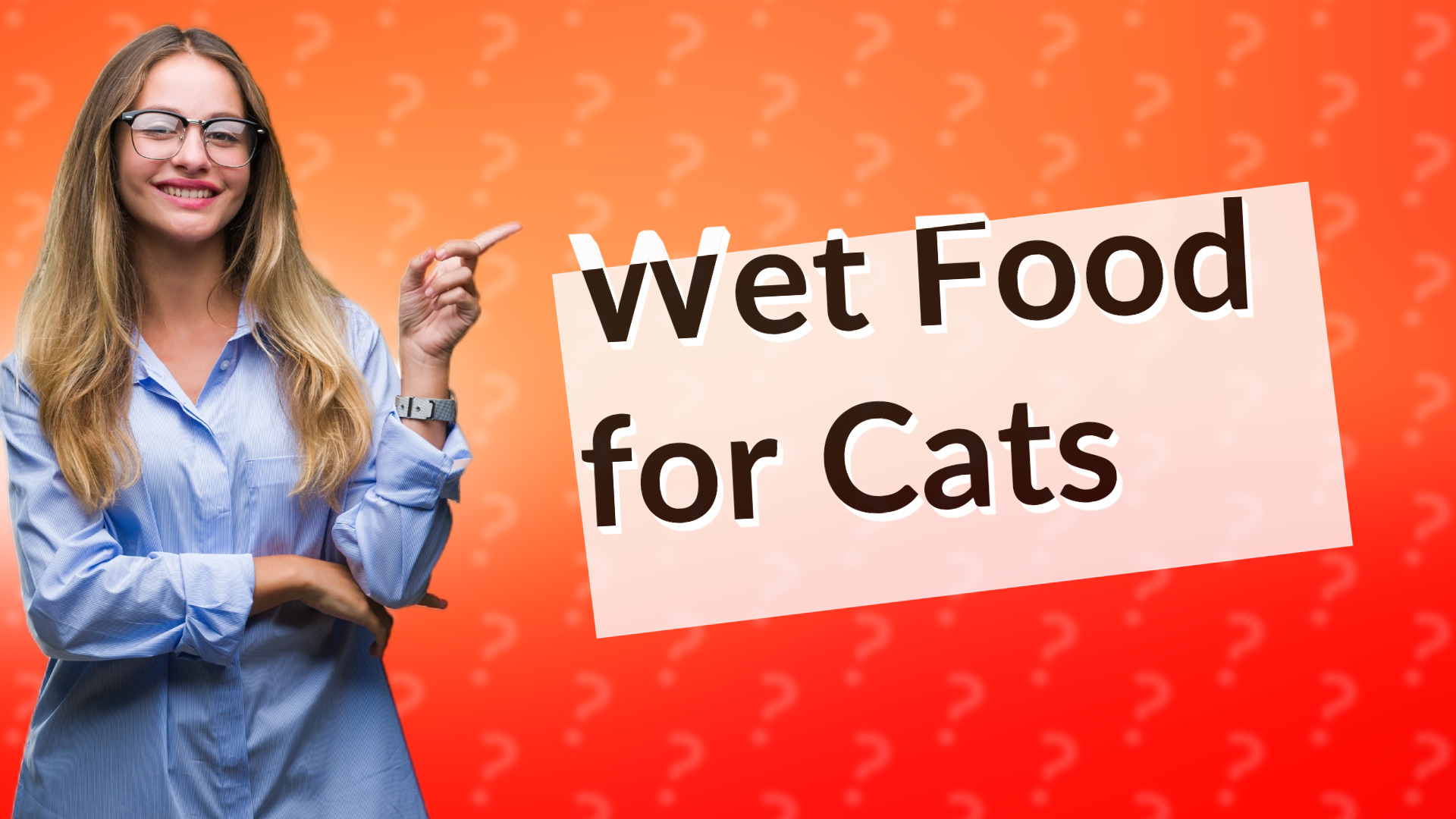 Wet Food for Cats