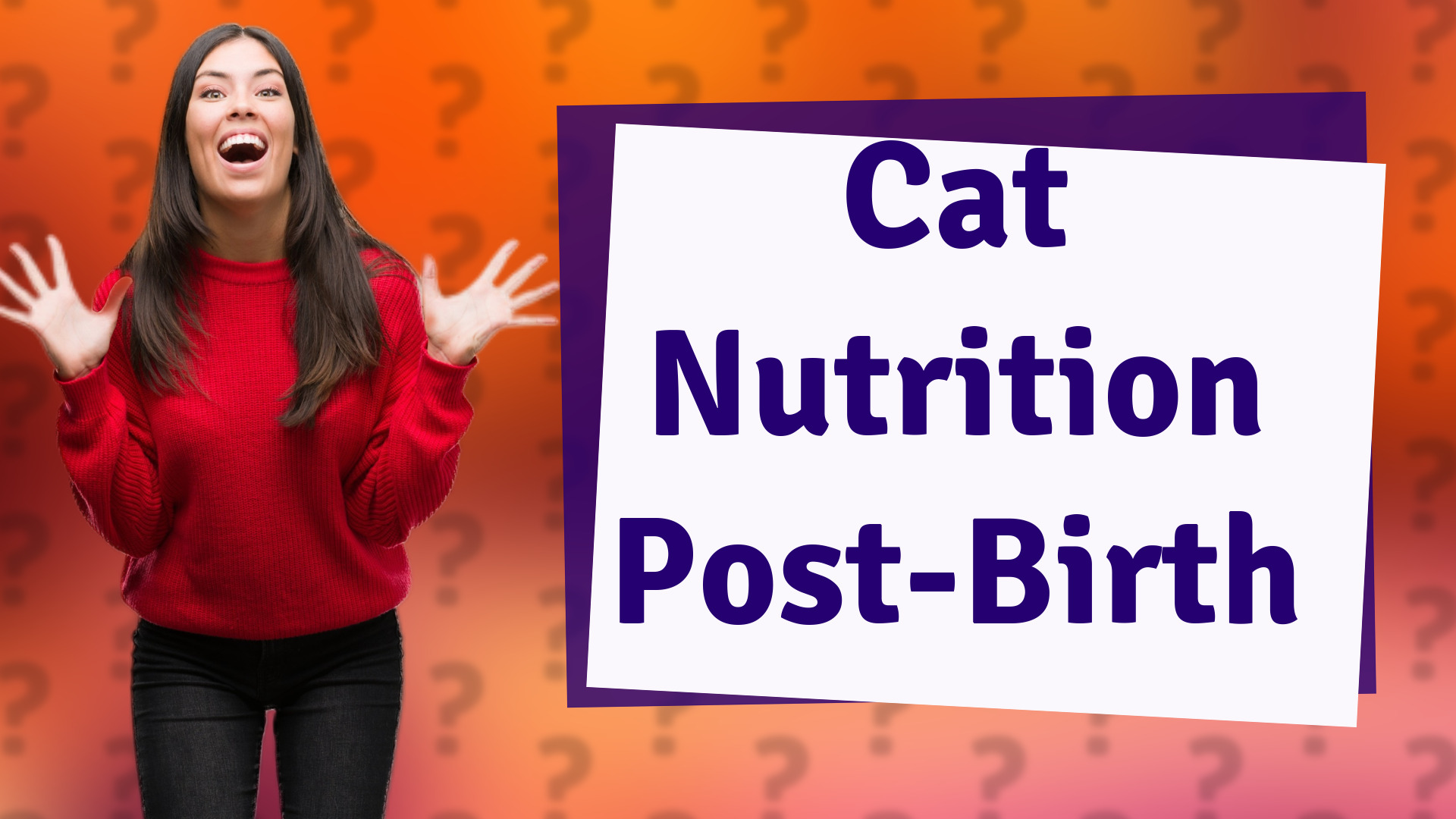 Cat Nutrition Post-Birth