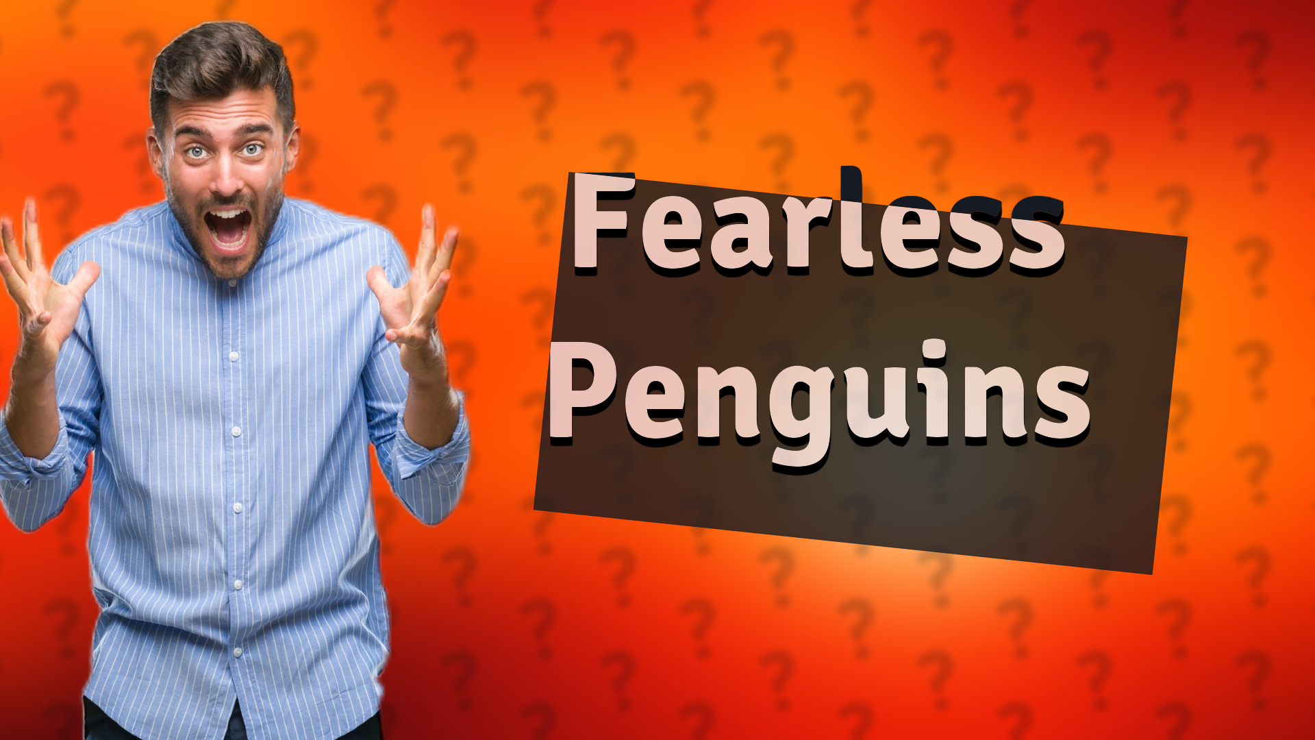 Fearless Penguins