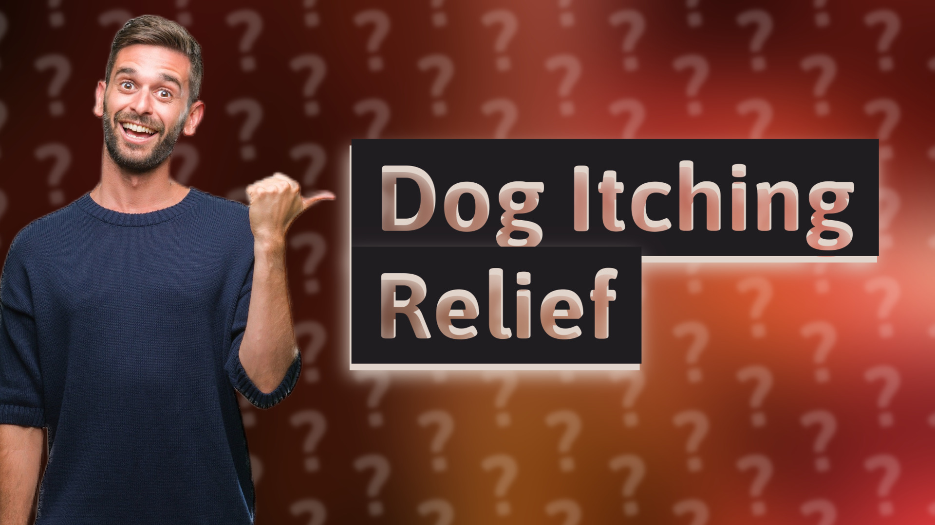 Dog Itching Relief