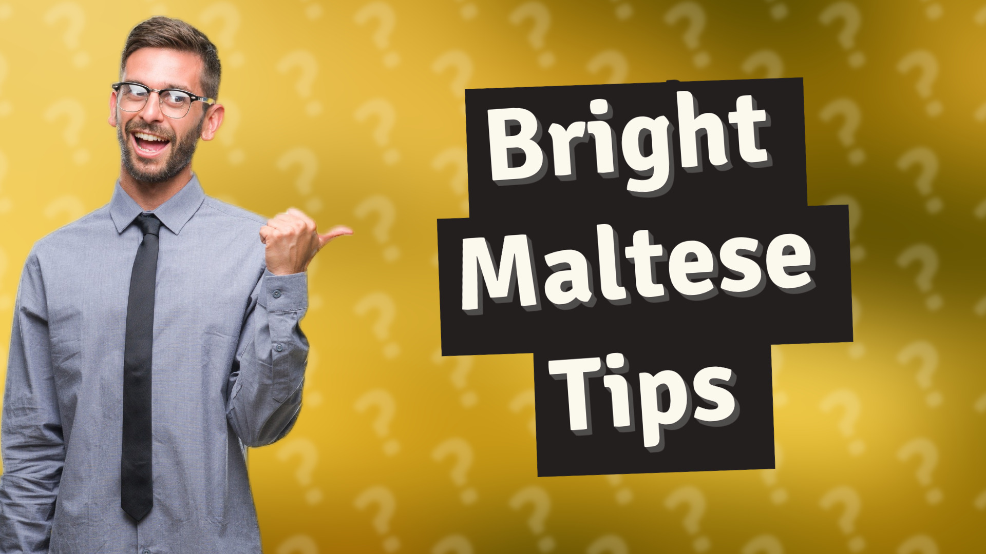 Bright Maltese Tips
