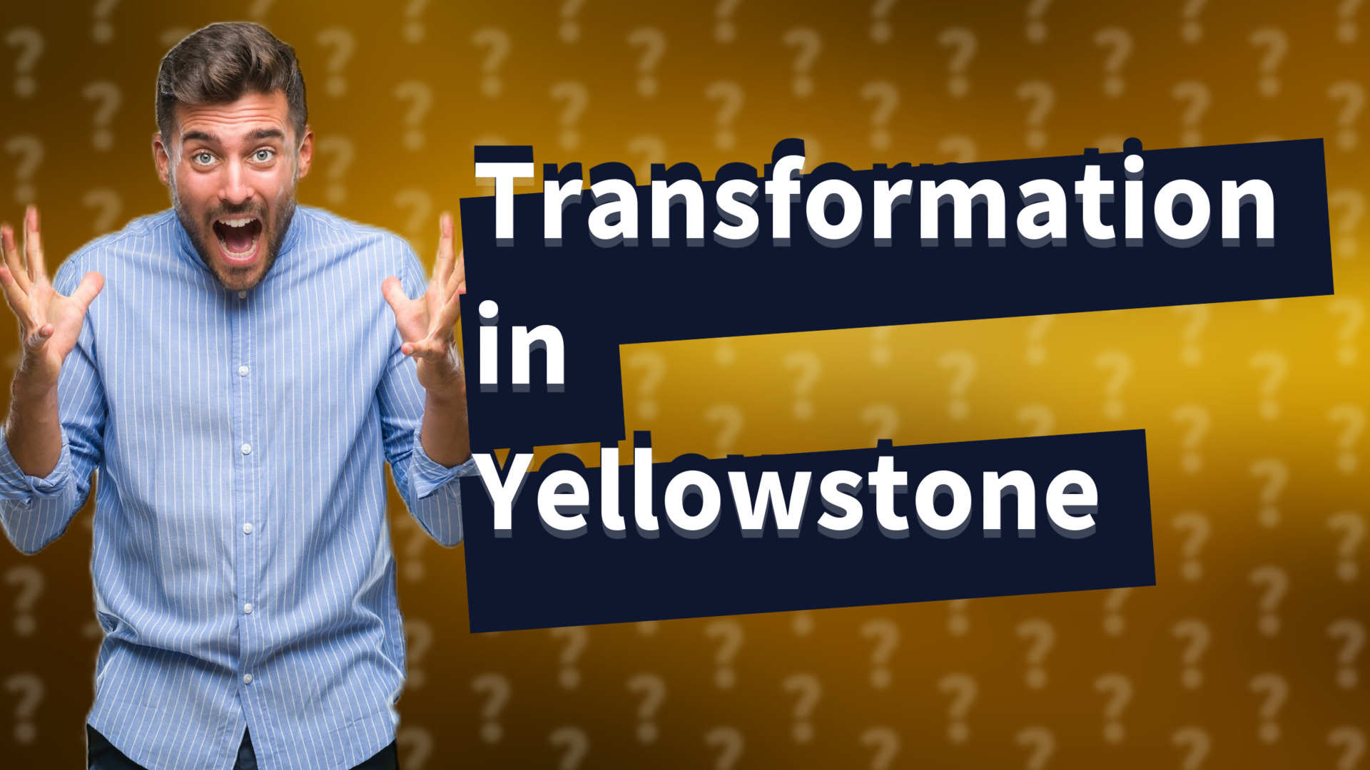 Transformation in Yellowstone