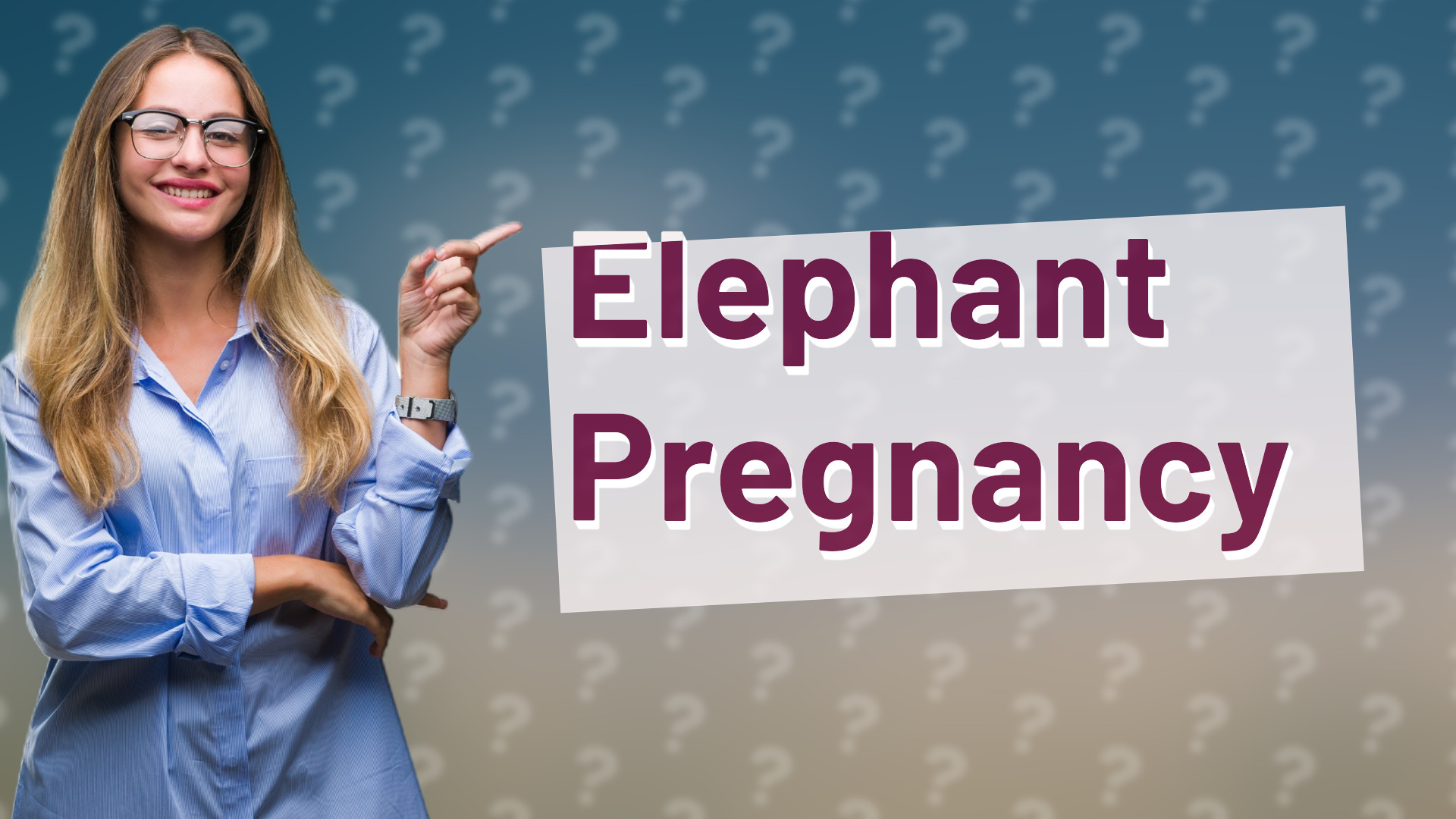 Elephant Pregnancy