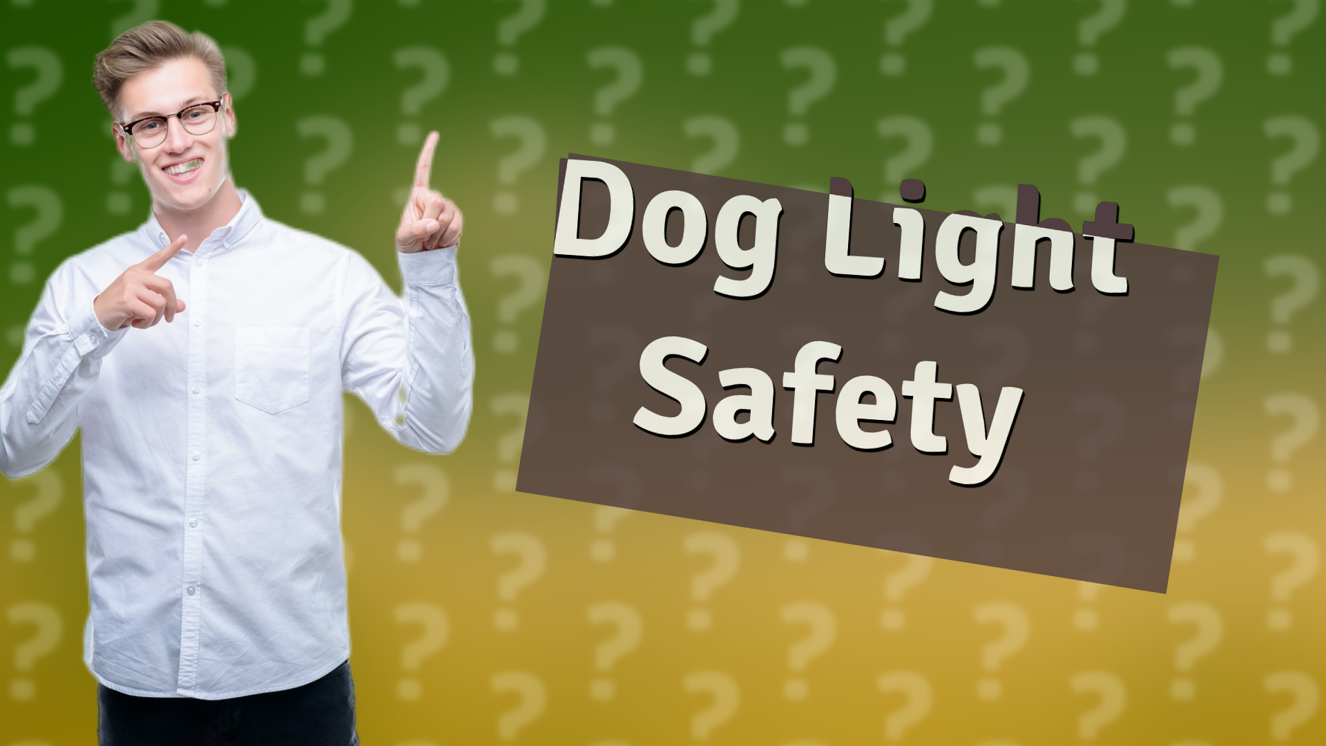 Dog Light Safety