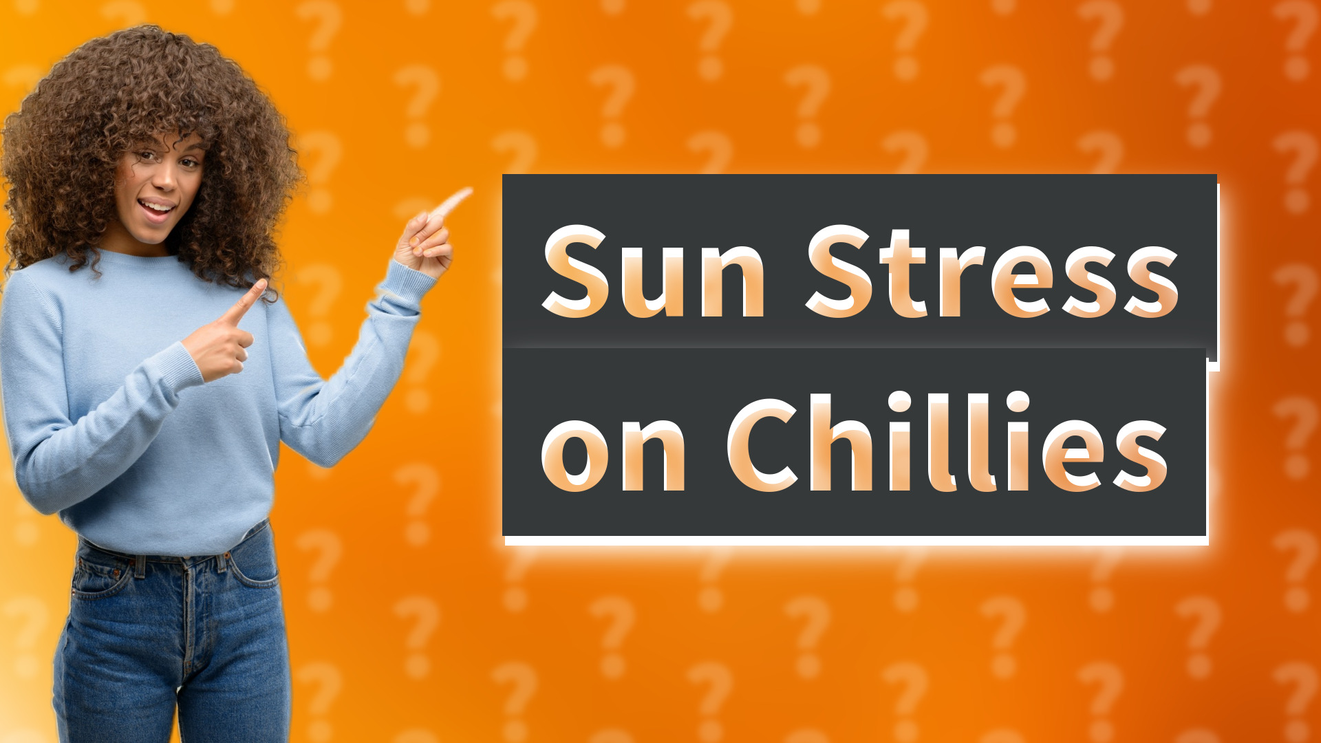 Sun Stress on Chillies