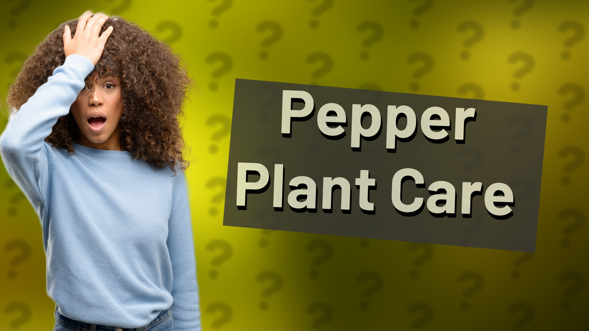 Pepper Plant Care