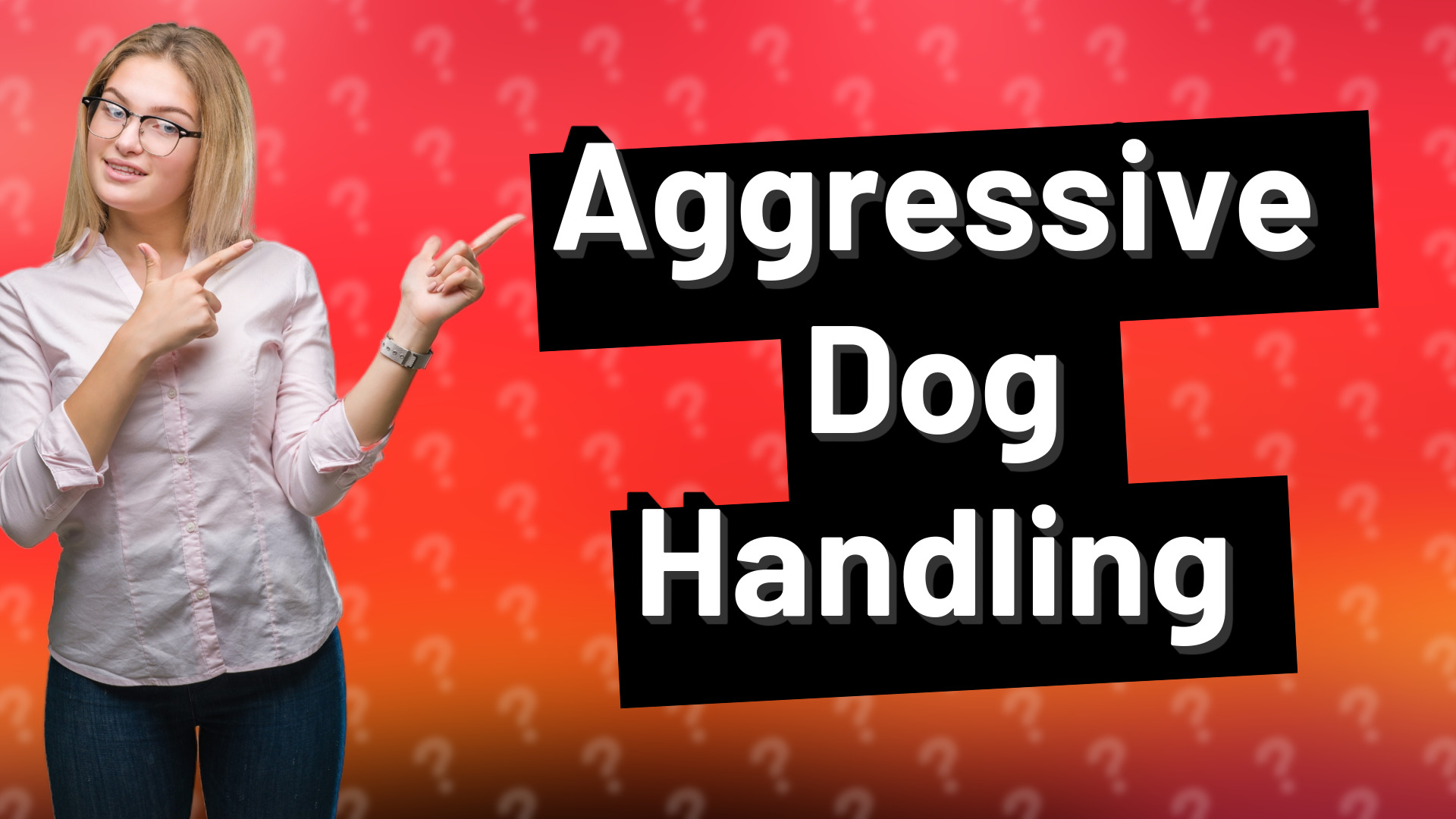 Aggressive Dog Handling