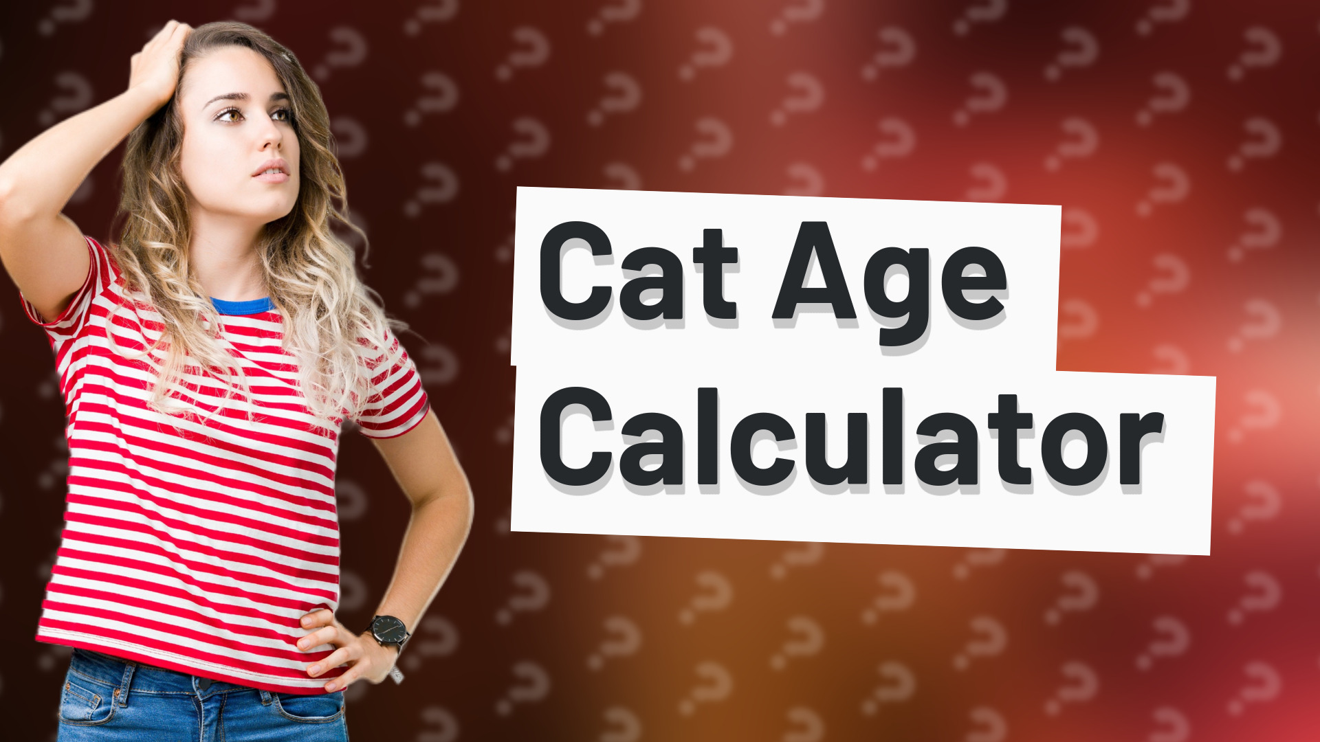Cat Age Calculator