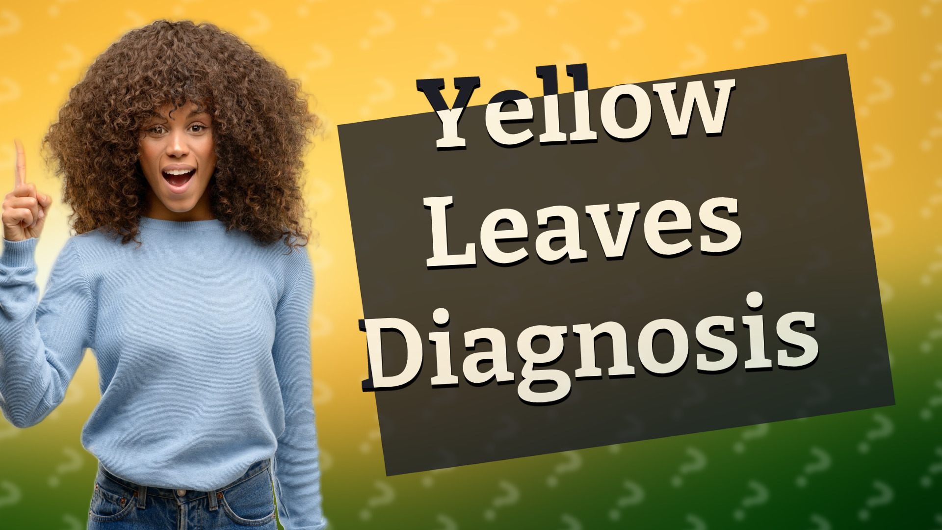 Yellow Leaves Diagnosis