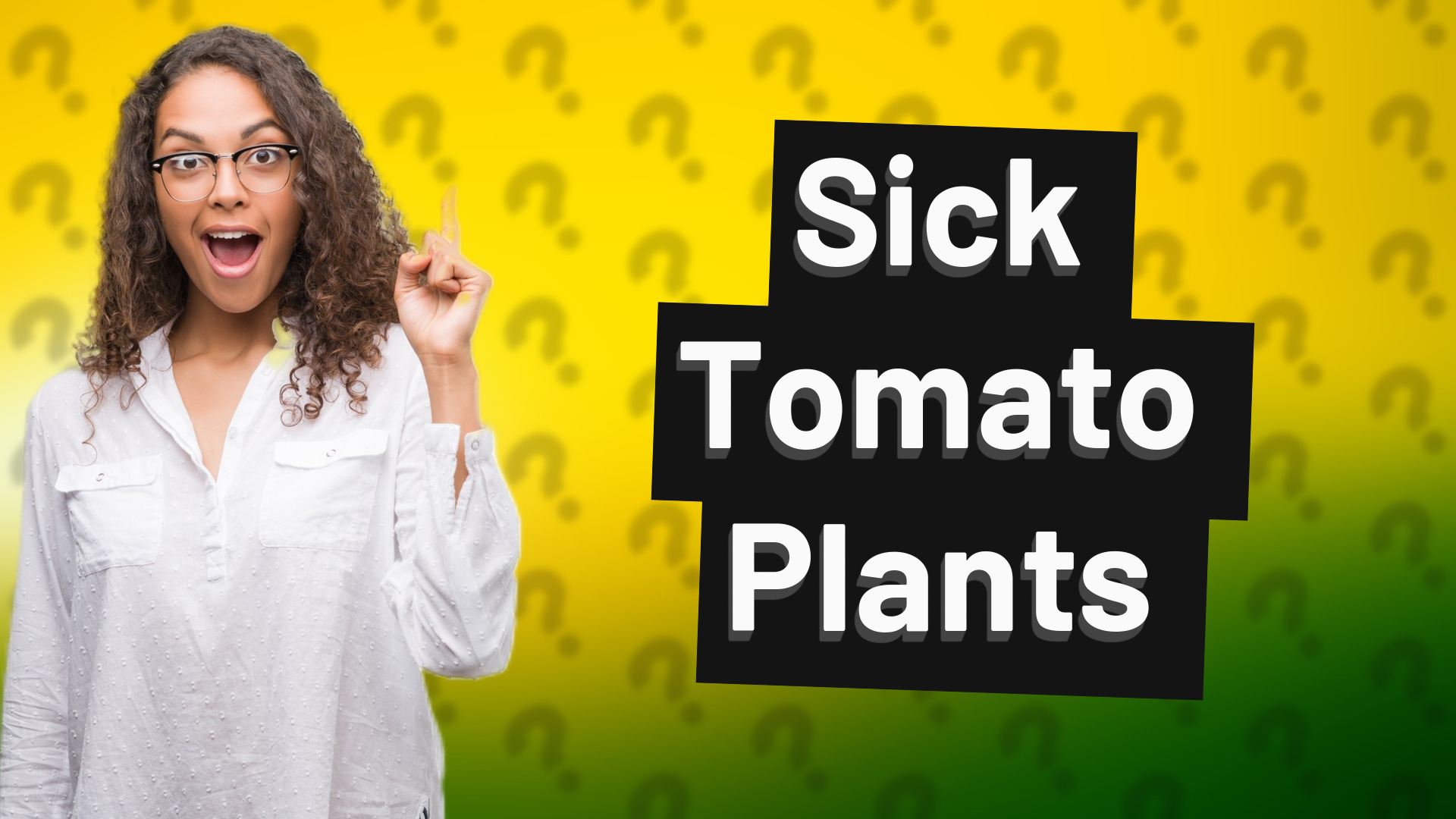 Sick Tomato Plants
