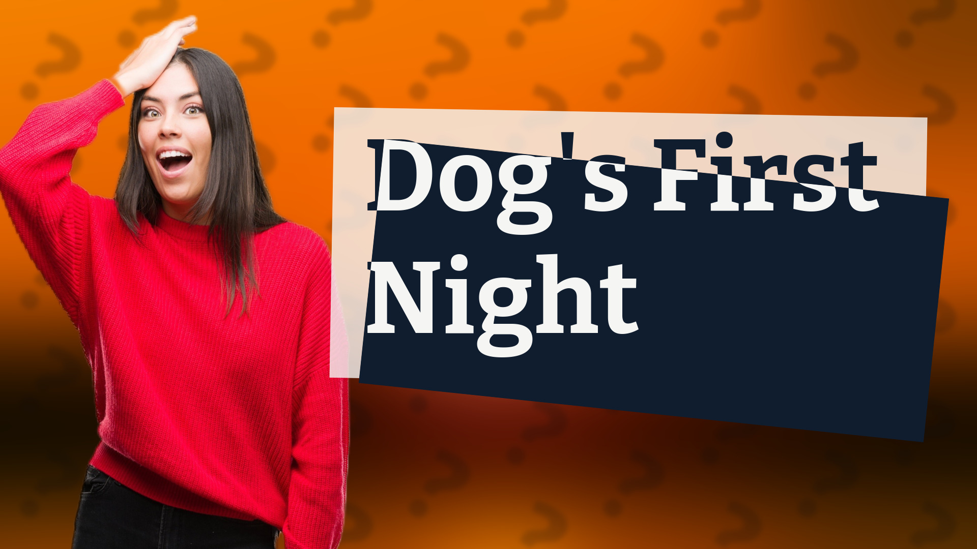 Dog's First Night