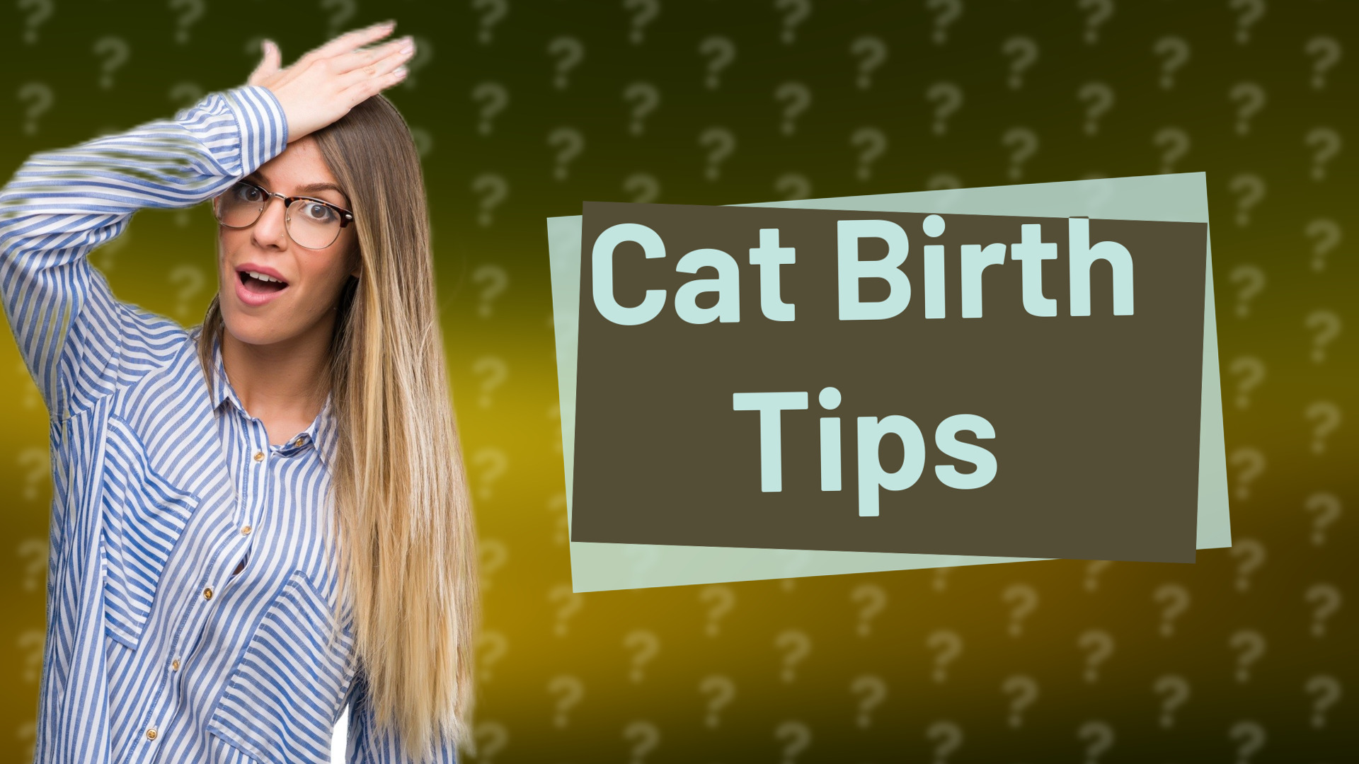 Cat Birth Tips