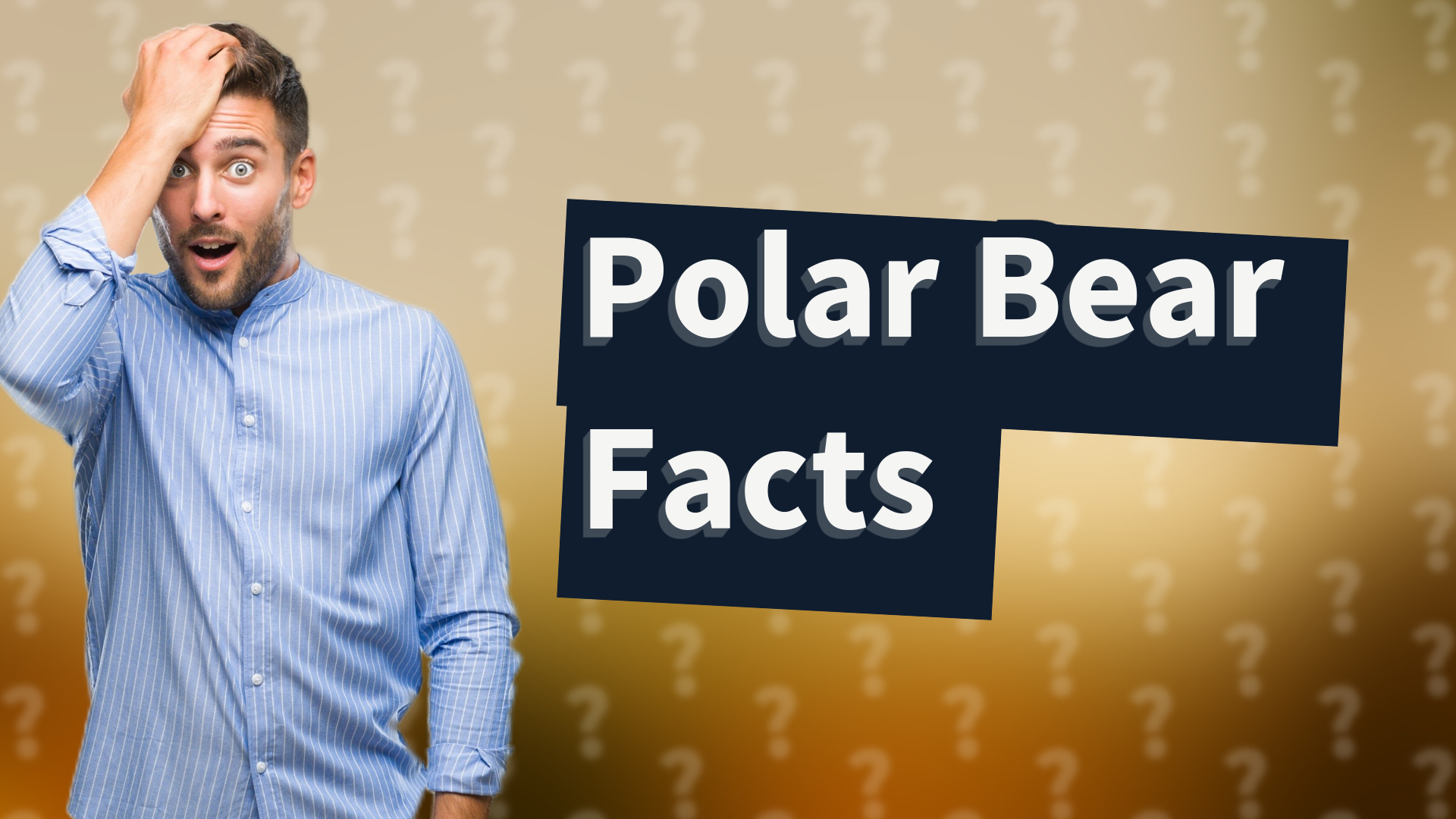 Polar Bear Facts
