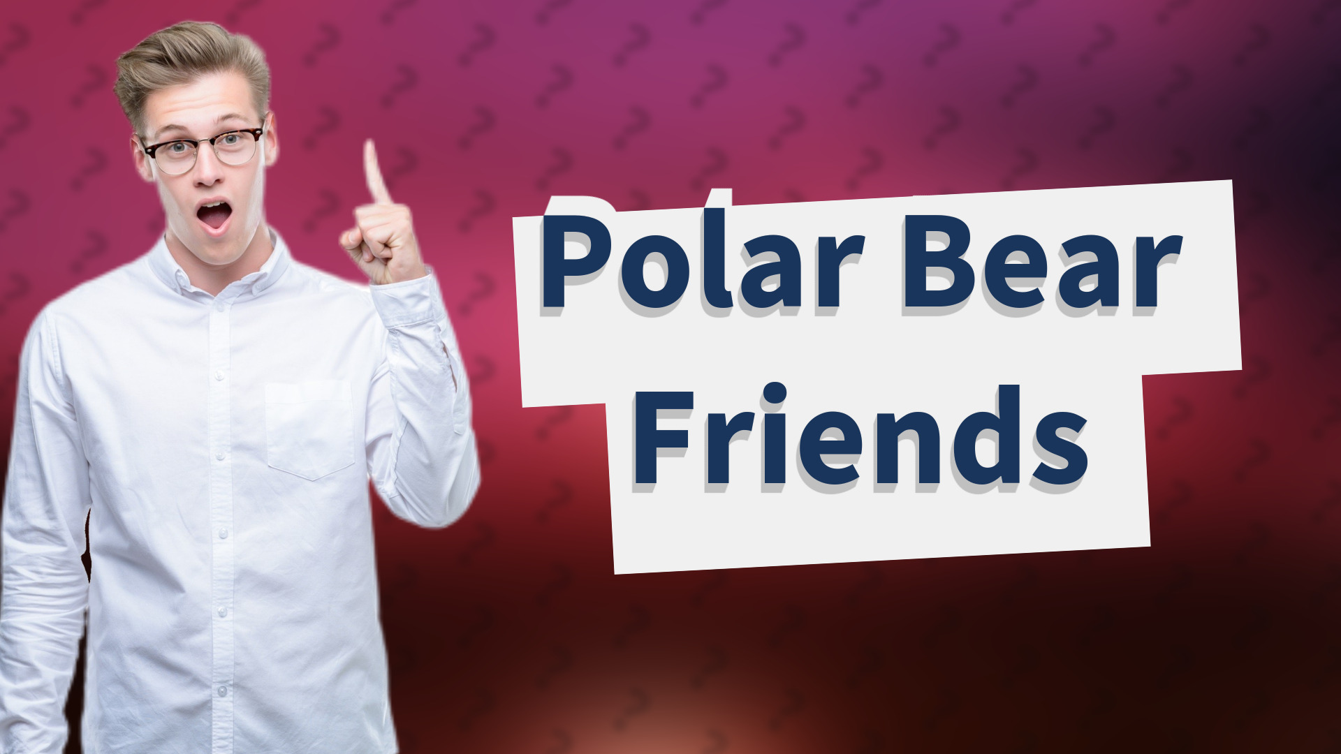 Polar Bear Friends