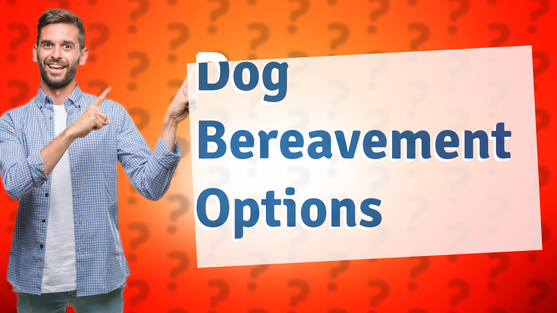 Dog Bereavement Options