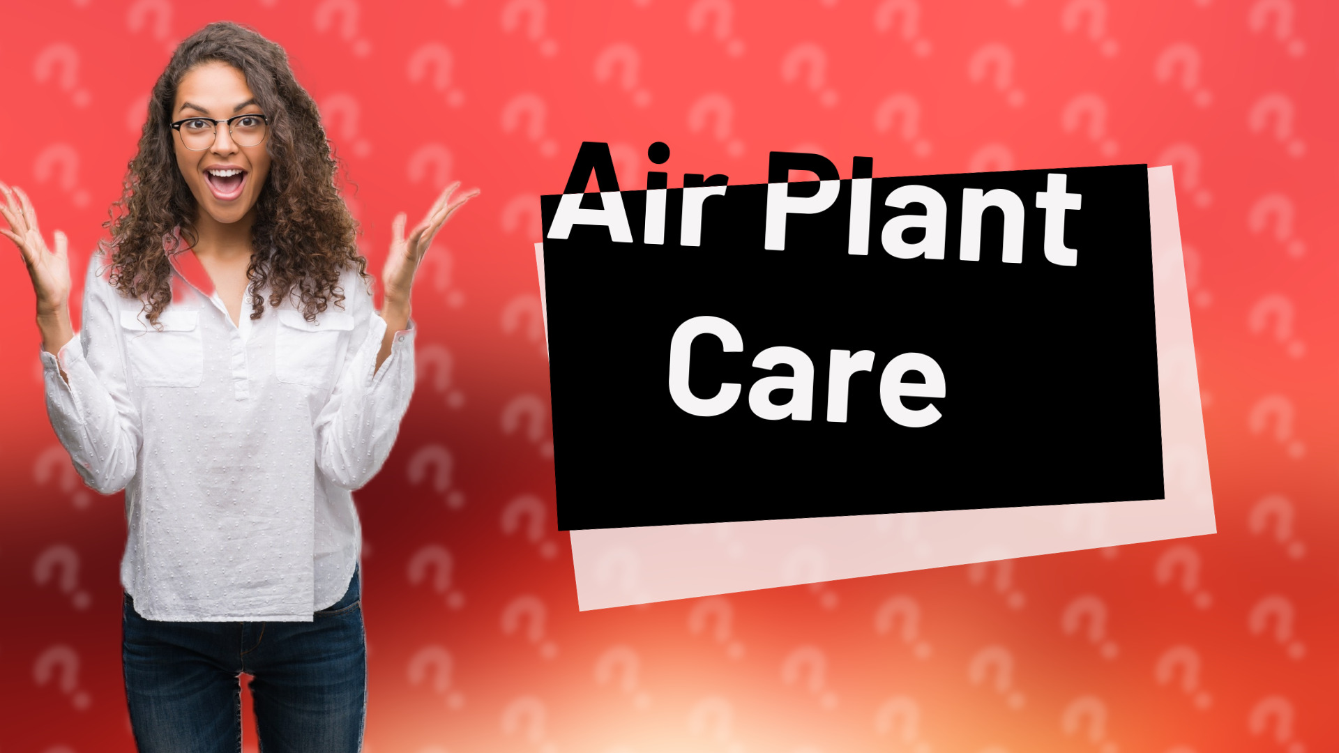 Air Plant Care