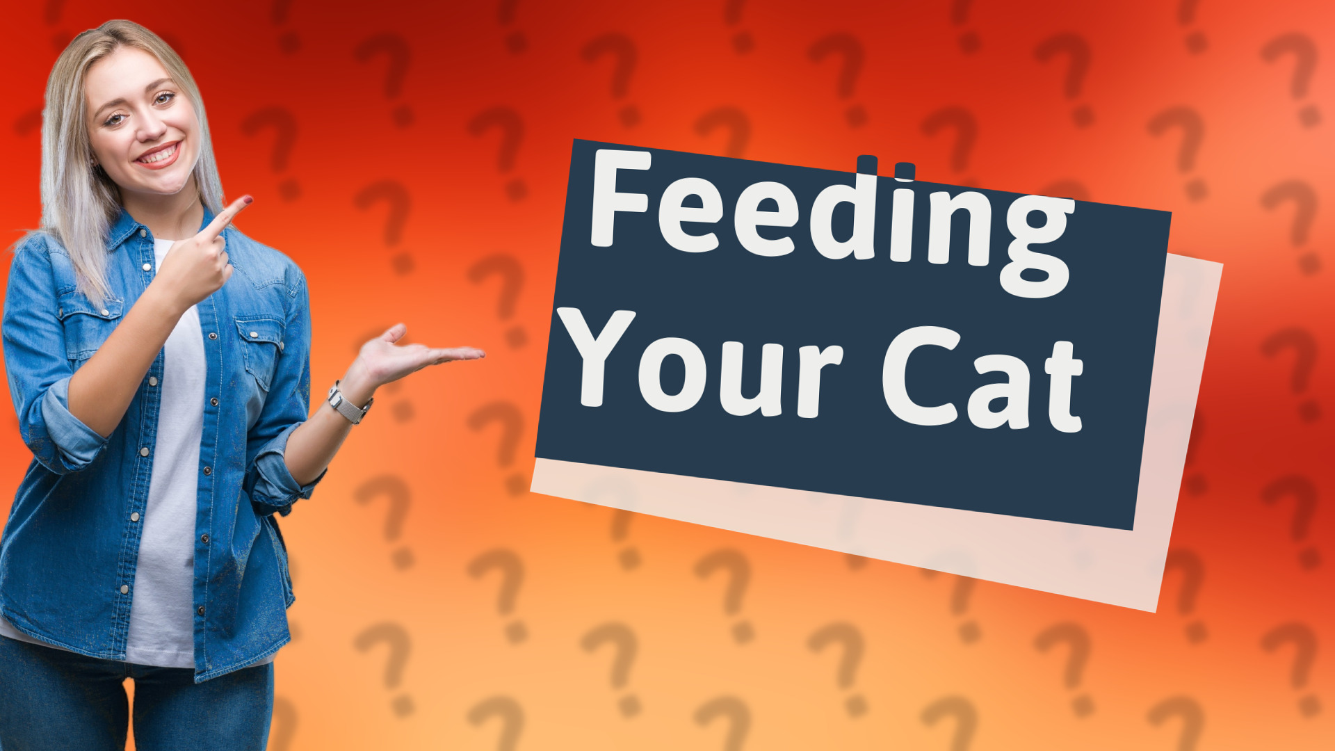Feeding Your Cat