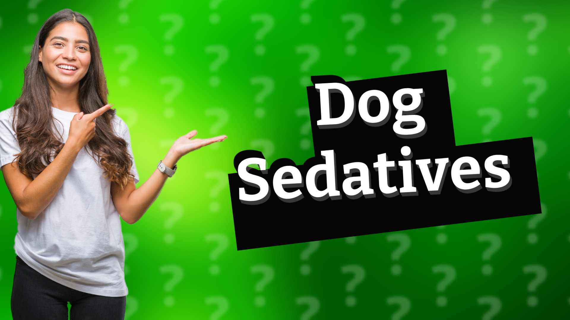 Dog Sedatives
