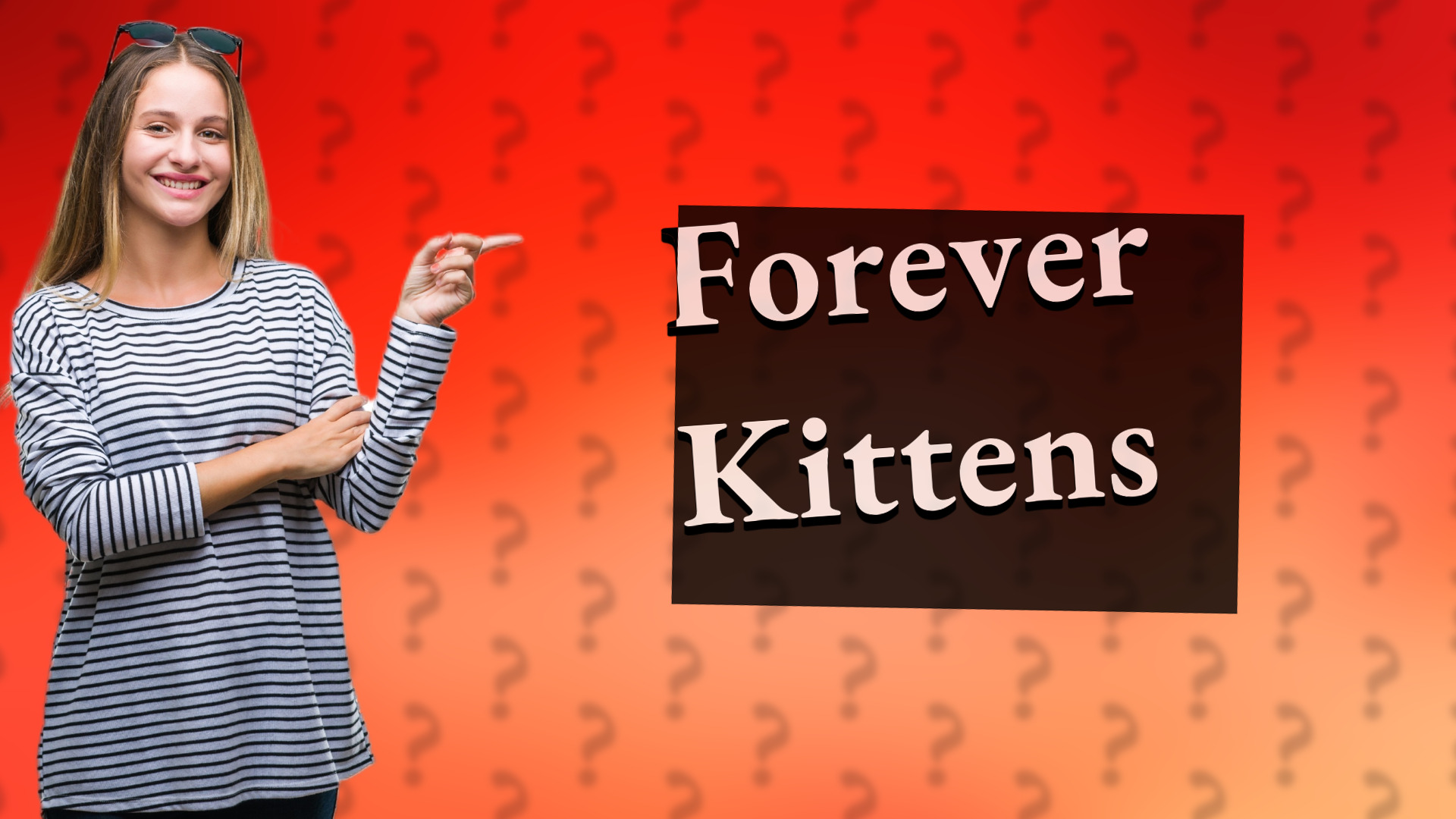 Forever Kittens