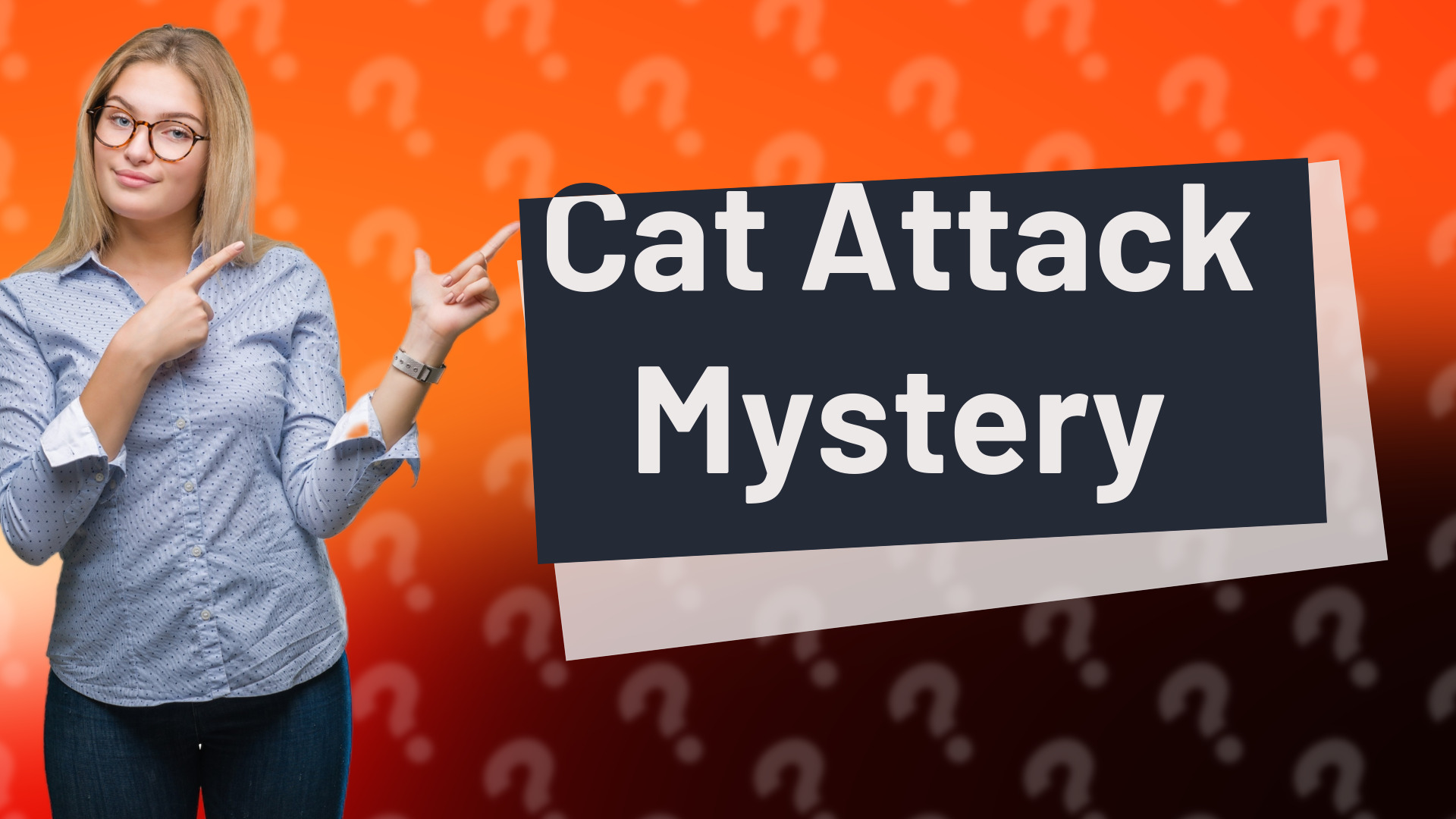 Cat Attack Mystery