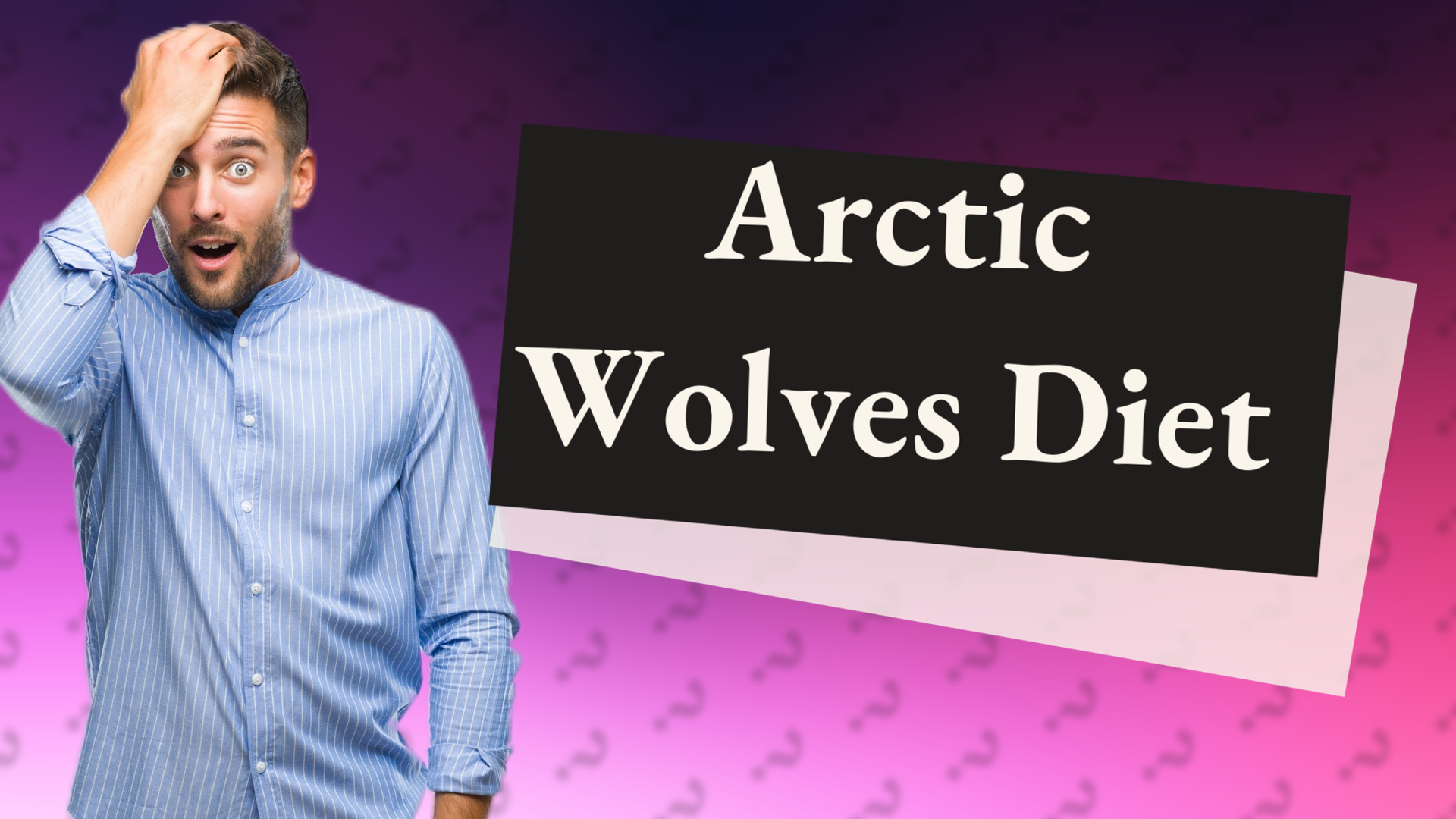 Arctic Wolves Diet