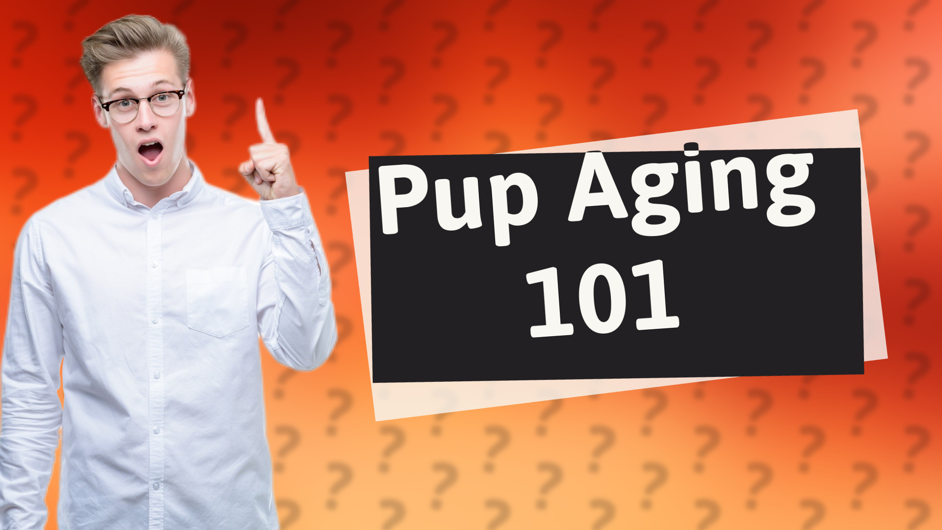 Pup Aging 101
