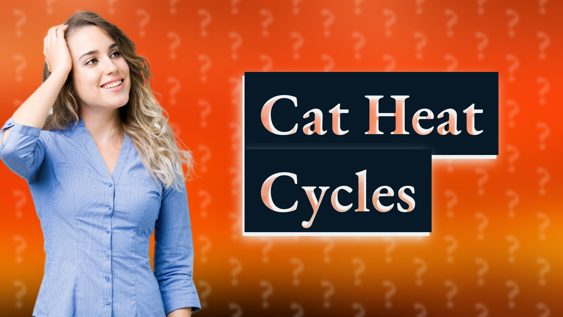 Cat Heat Cycles