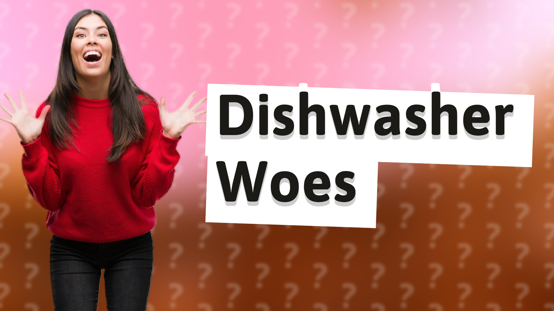 Dishwasher Woes
