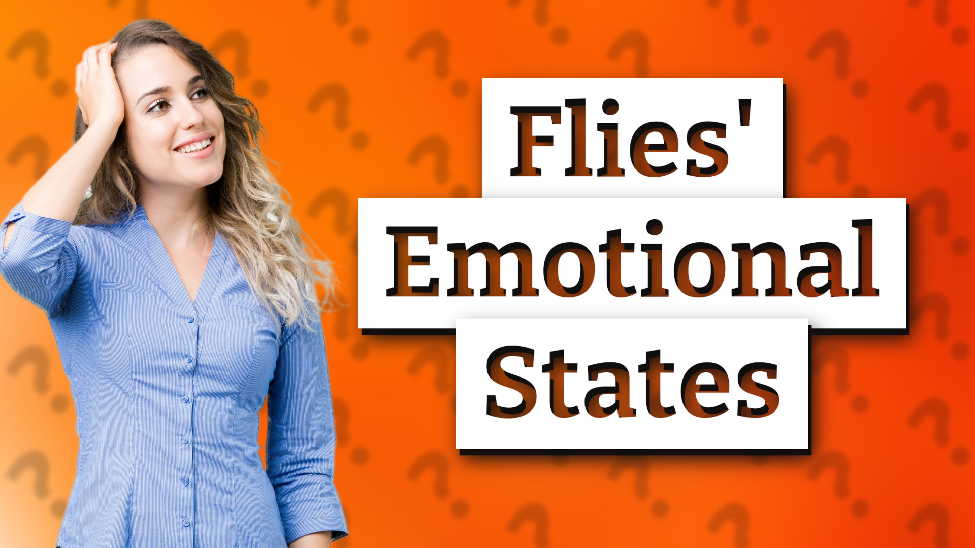 Flies' Emotional States
