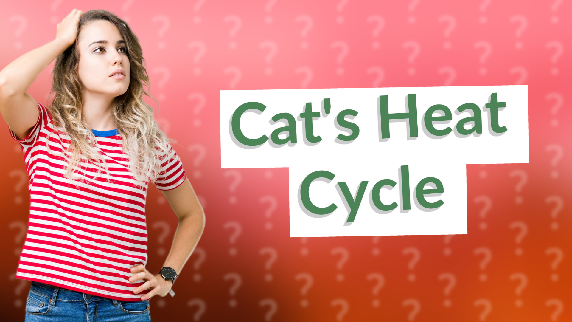 Cat's Heat Cycle