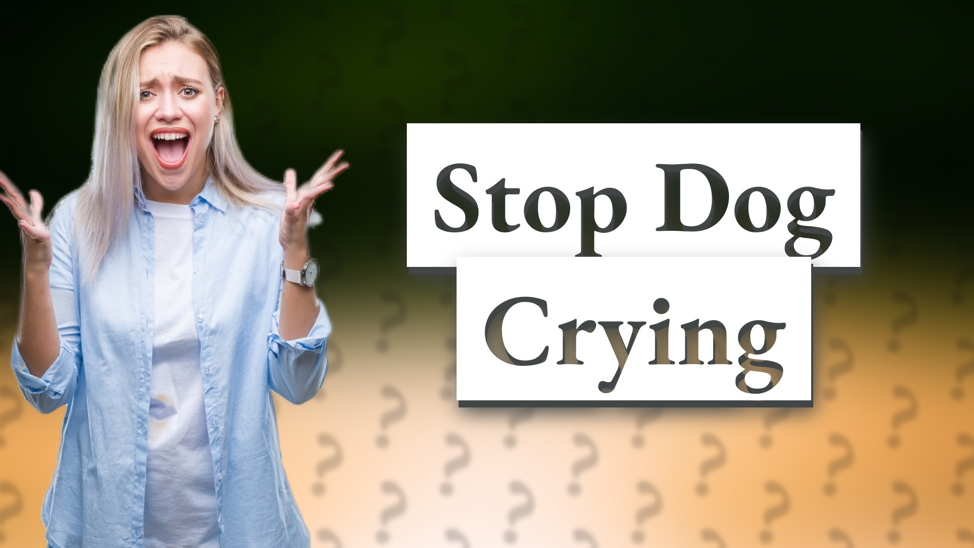 Stop Dog Crying