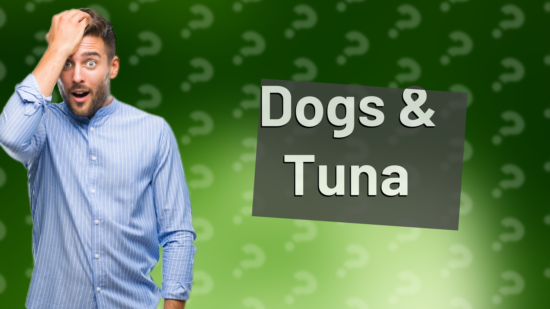 Dogs & Tuna