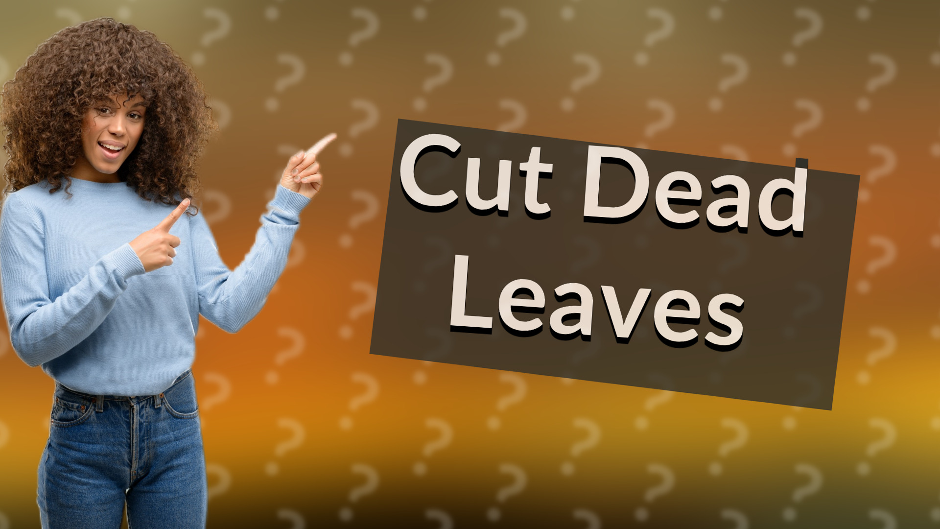 Cut Dead Leaves