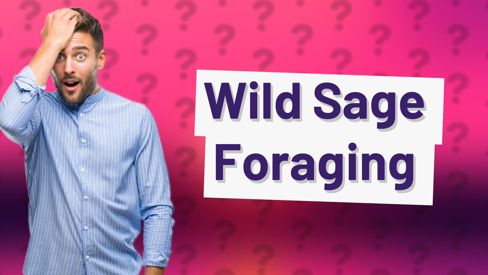 Wild Sage Foraging