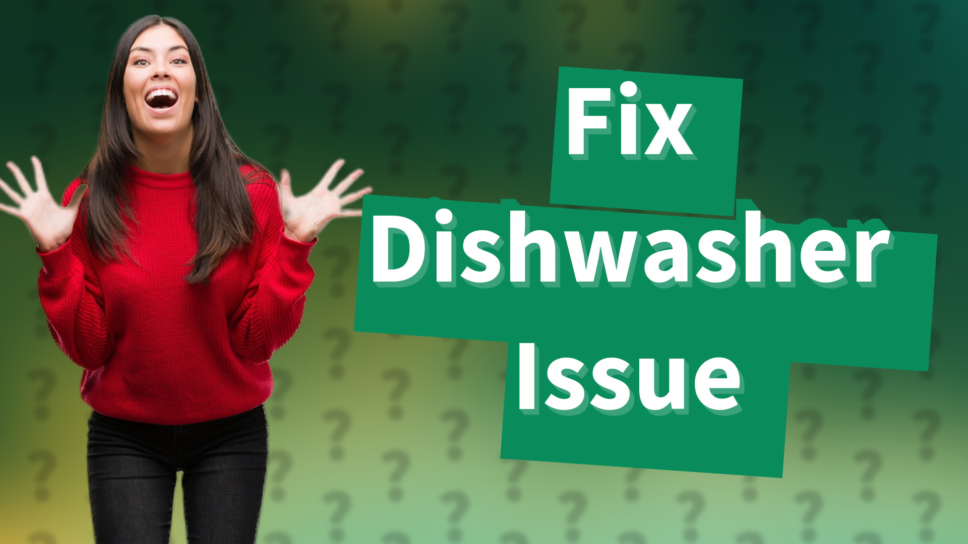 Fix Dishwasher Issue