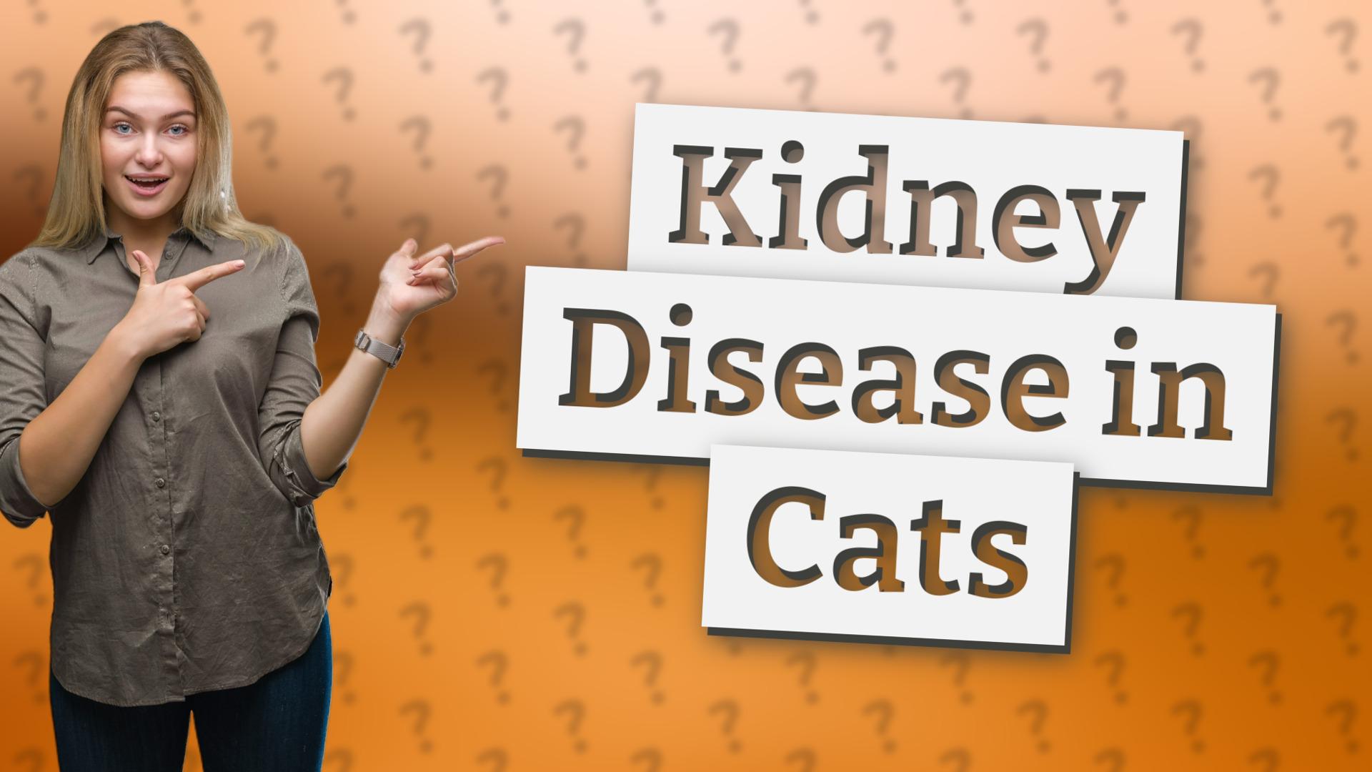 Kidney Disease in Cats