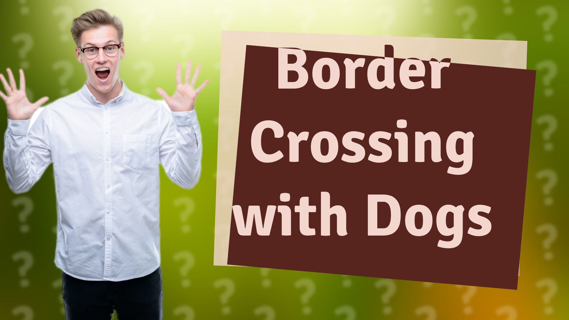 Border Crossing with Dogs