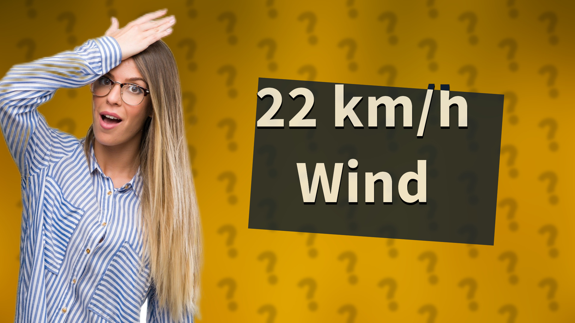 22 km/h Wind