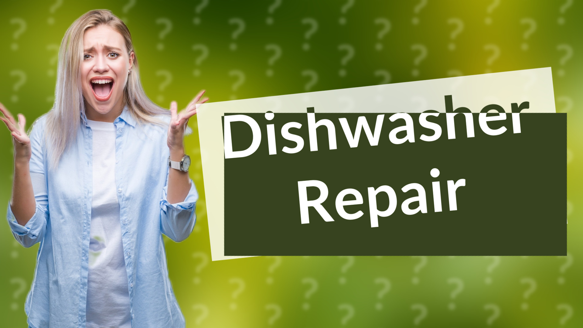 Dishwasher Repair