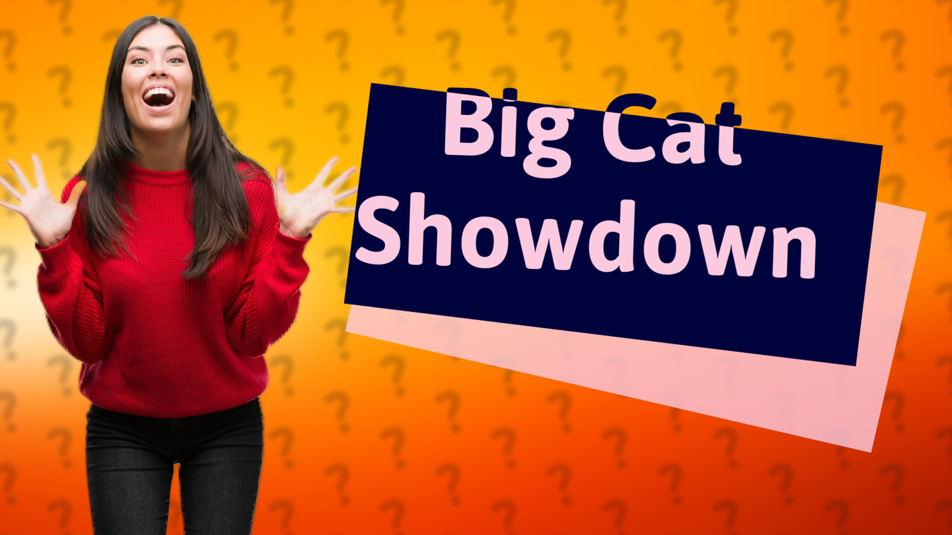Big Cat Showdown